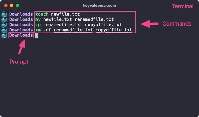 Visual breakdown of terminal, shell, prompt, and command line in Linux