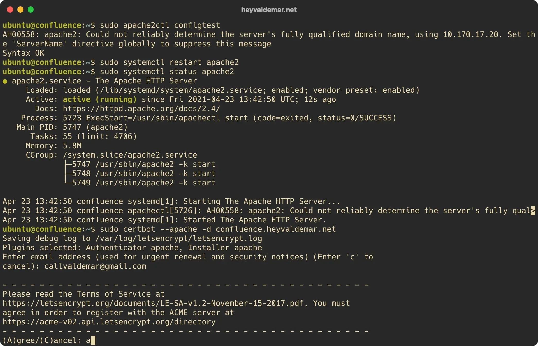 Install Confluence on Ubuntu Server - Step 19