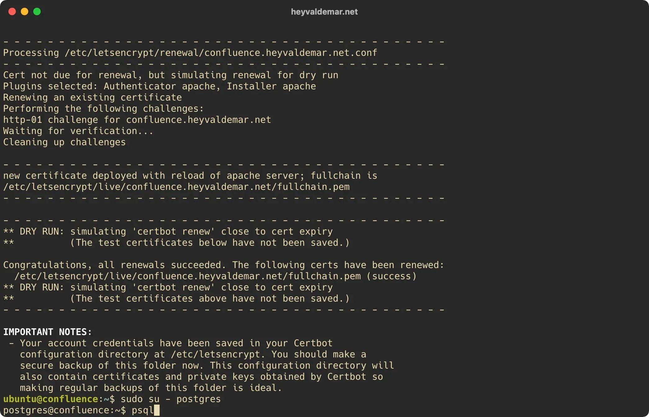 Install Confluence on Ubuntu Server - Step 24
