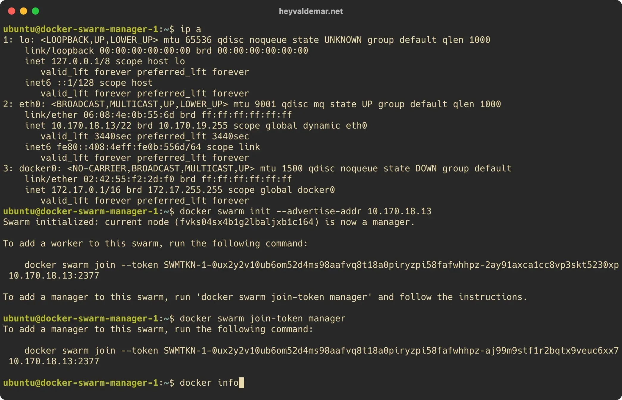 Install Docker Swarm on Ubuntu Server - Step 4