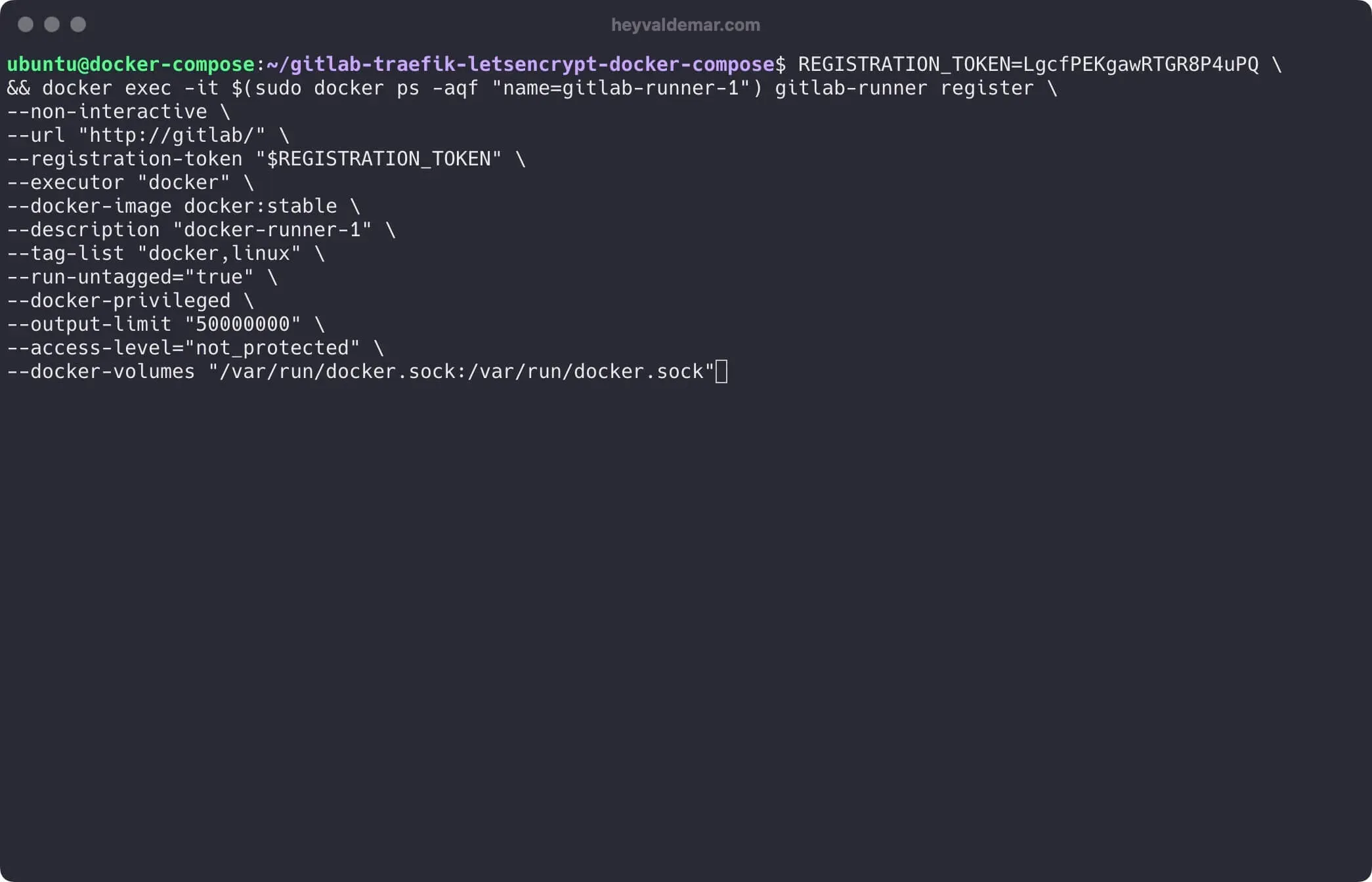 Install GitLab Using Docker Compose - Step 11