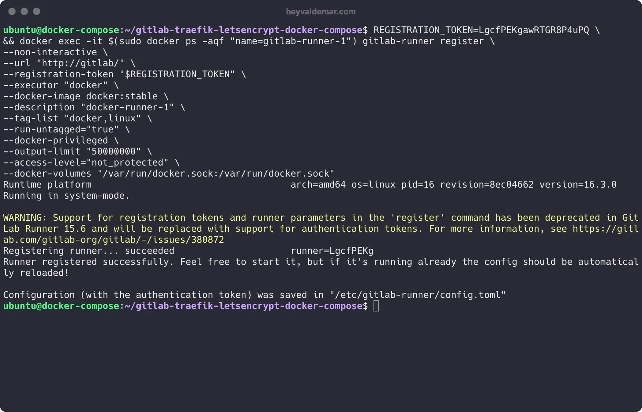 Install GitLab Using Docker Compose - Step 12