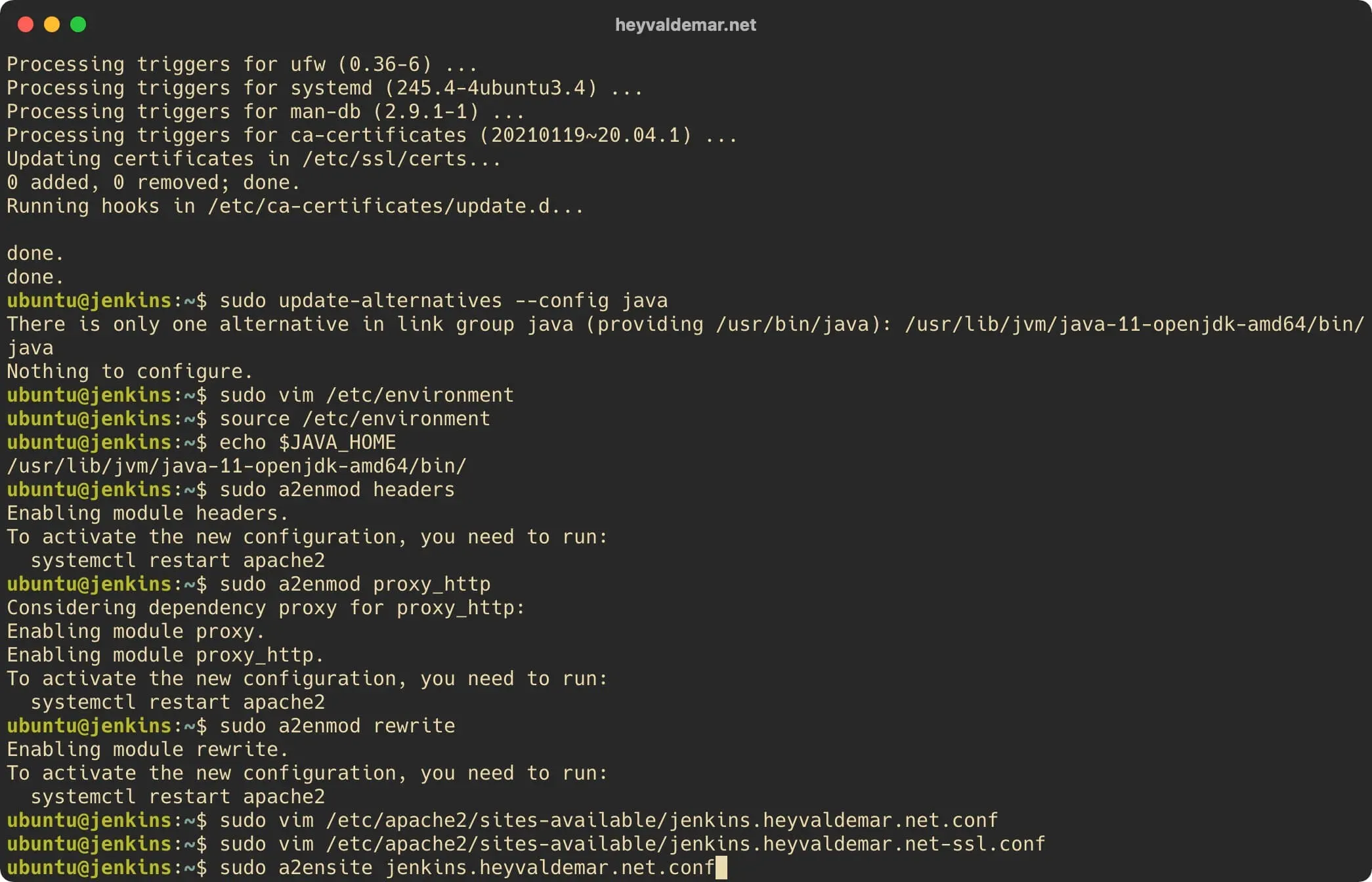 Install Jenkins on Ubuntu Server - Step 18