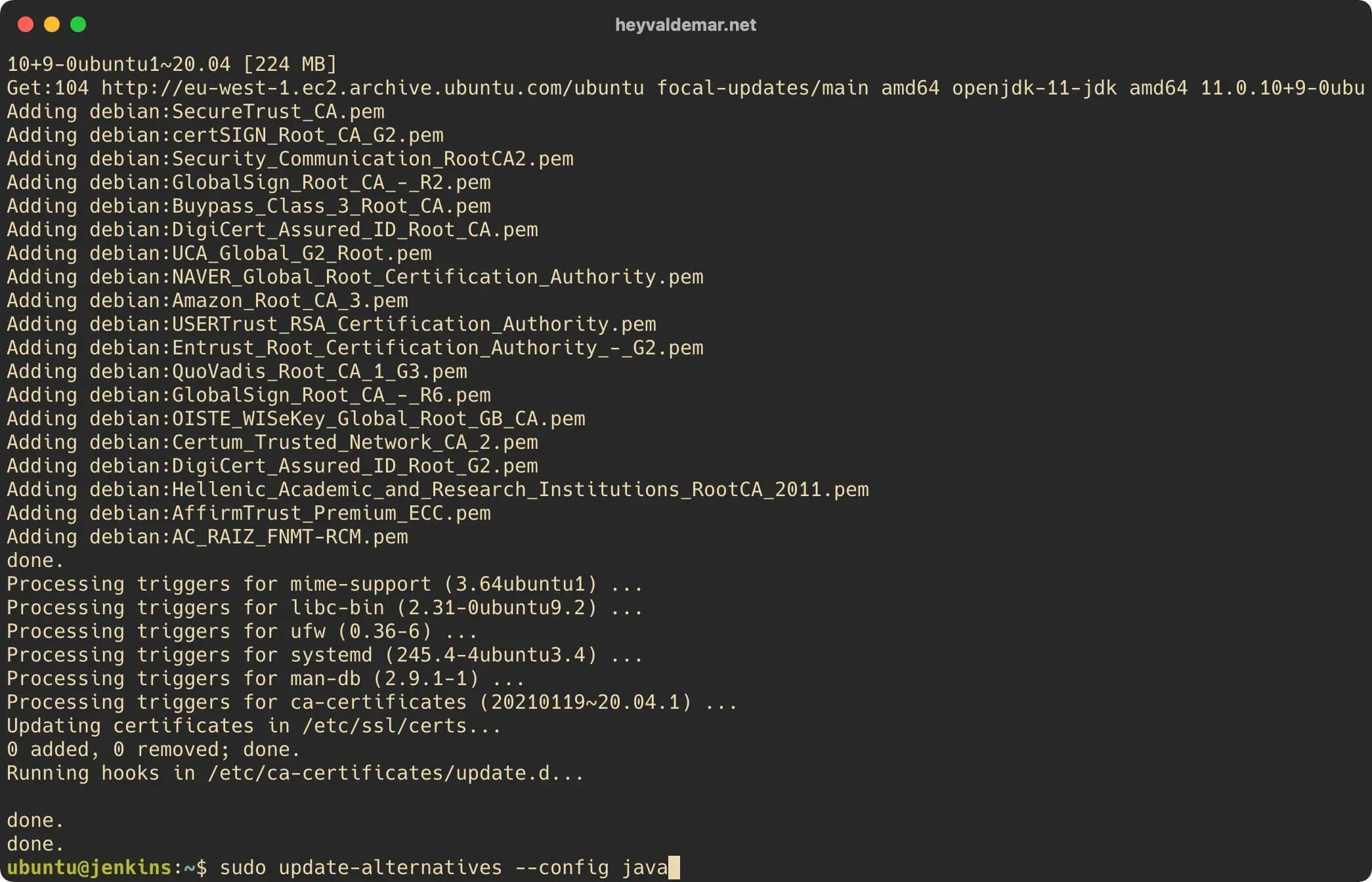 Install Jenkins on Ubuntu Server - Step 3