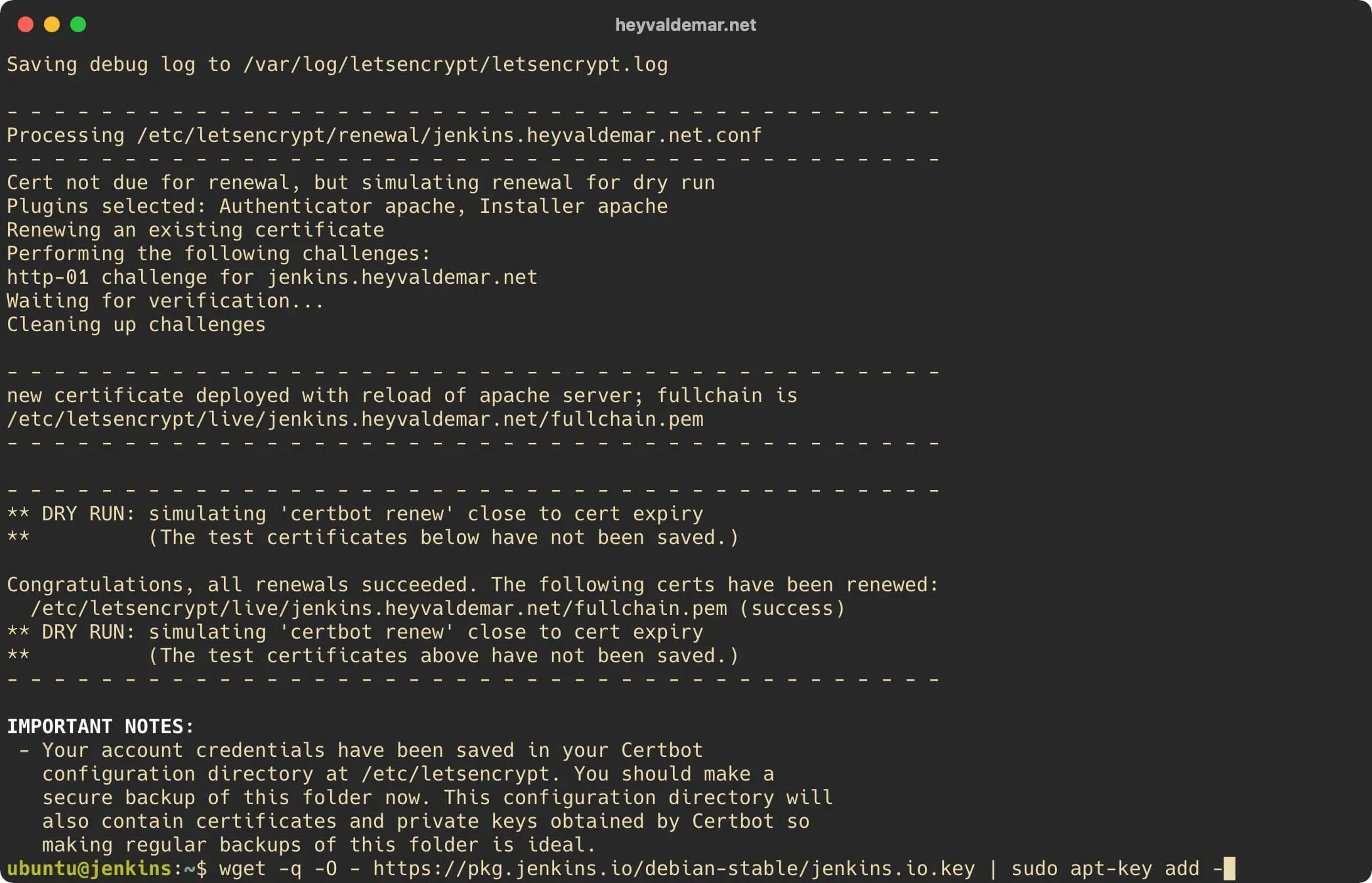 Install Jenkins on Ubuntu Server - Step 30