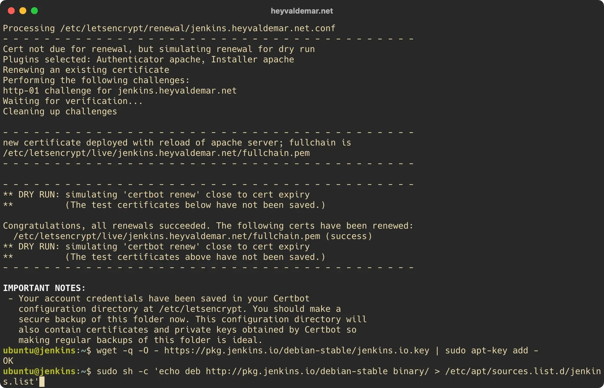 Install Jenkins on Ubuntu Server - Step 31