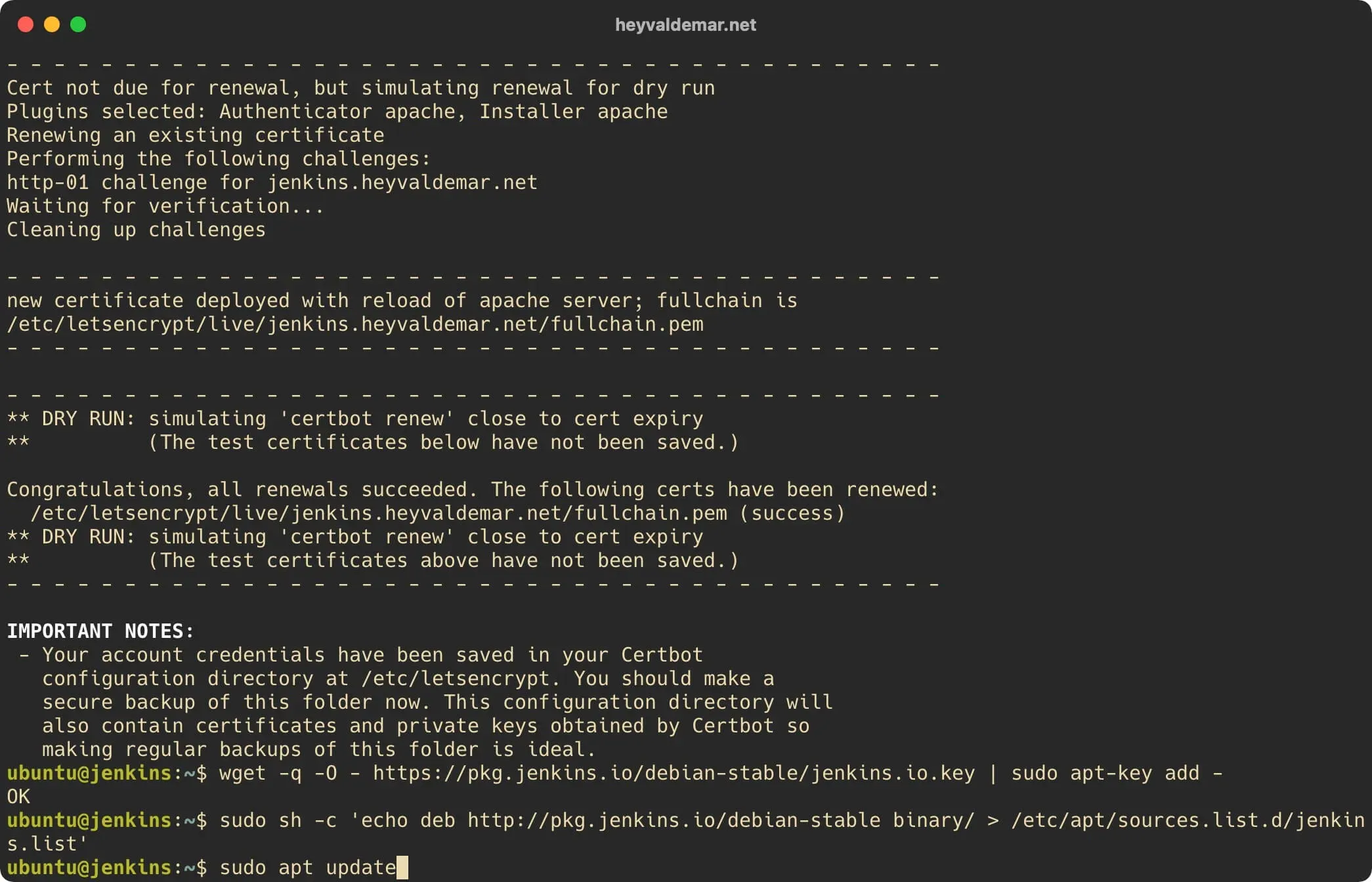 Install Jenkins on Ubuntu Server - Step 32