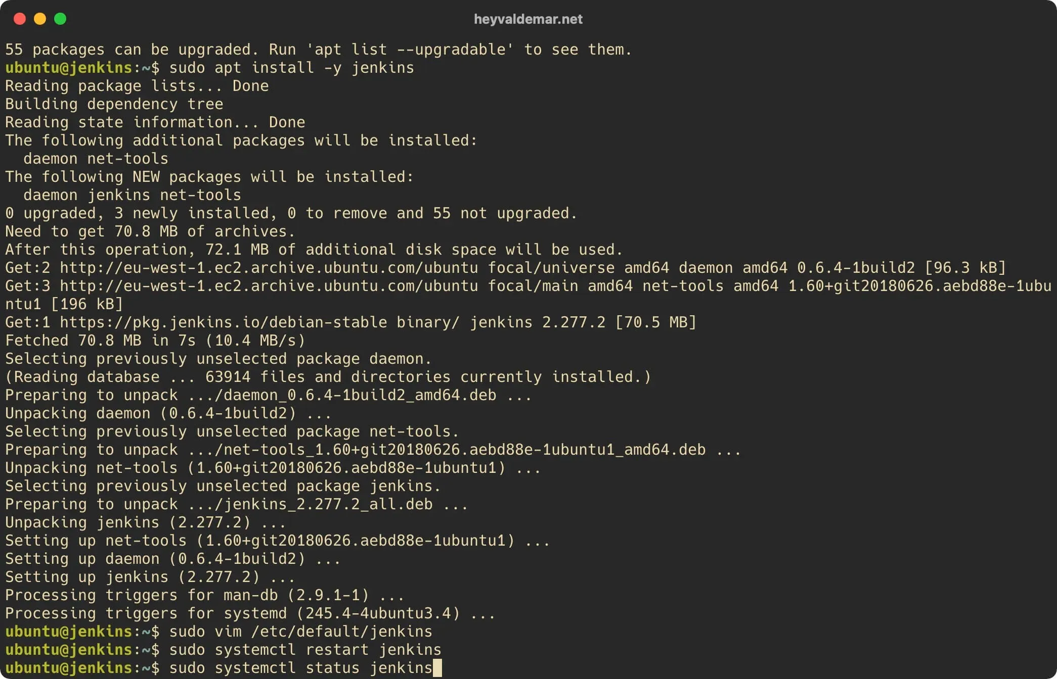 Install Jenkins on Ubuntu Server - Step 38