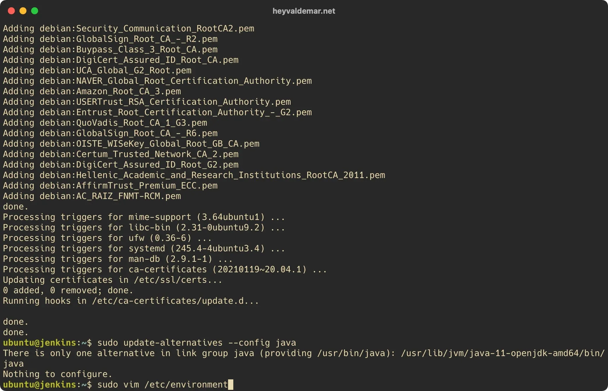 Install Jenkins on Ubuntu Server - Step 4