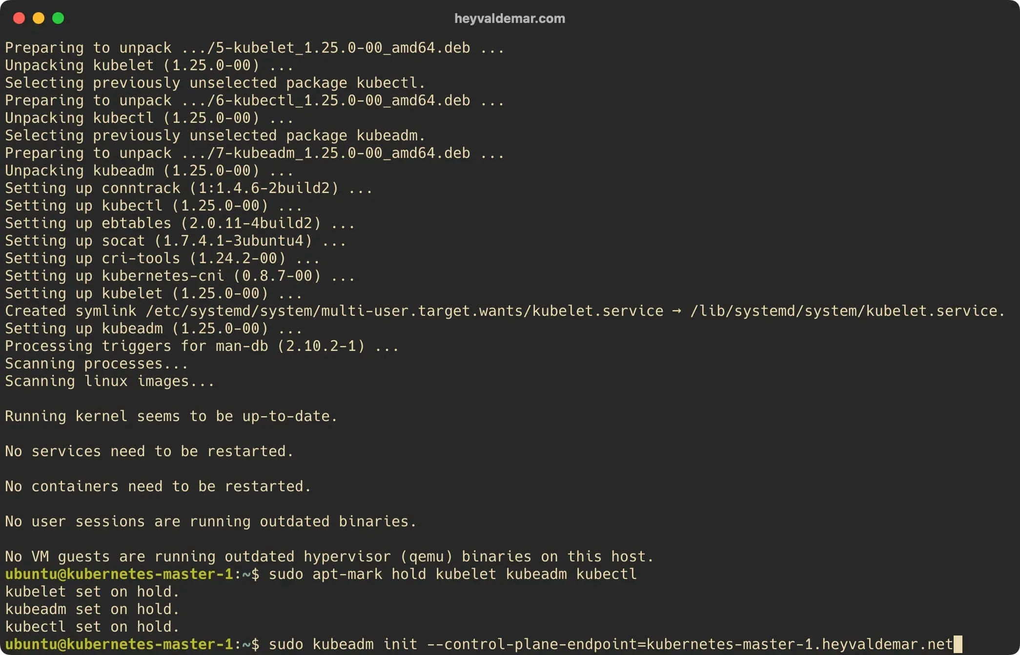 Install Kubernetes on Ubuntu Server 22.04 LTS - Step 29