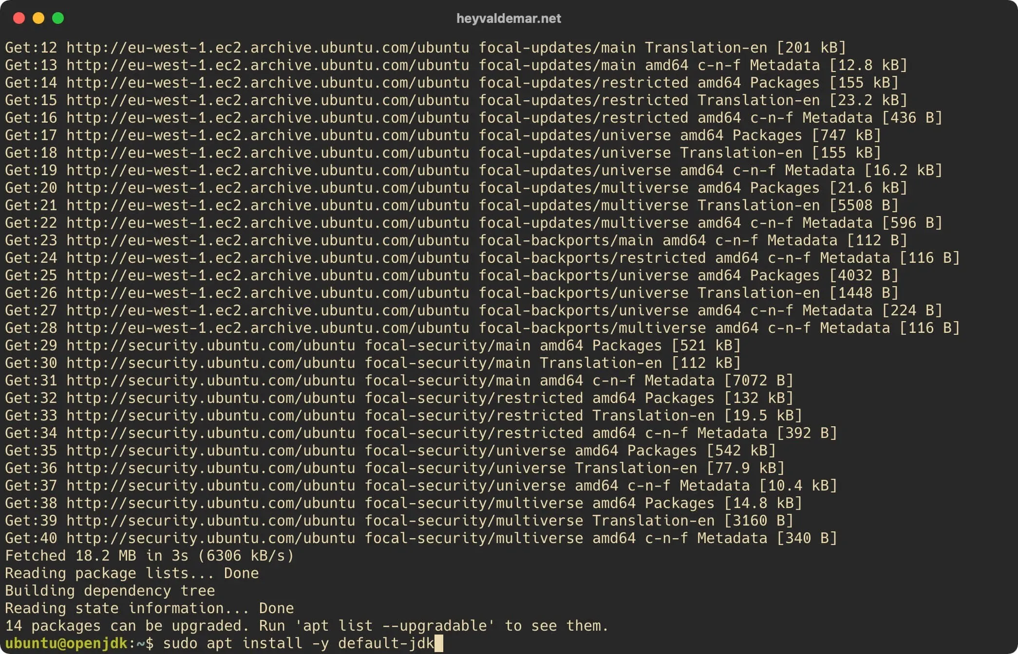 Install OpenJDK on Ubuntu Server - Step 2