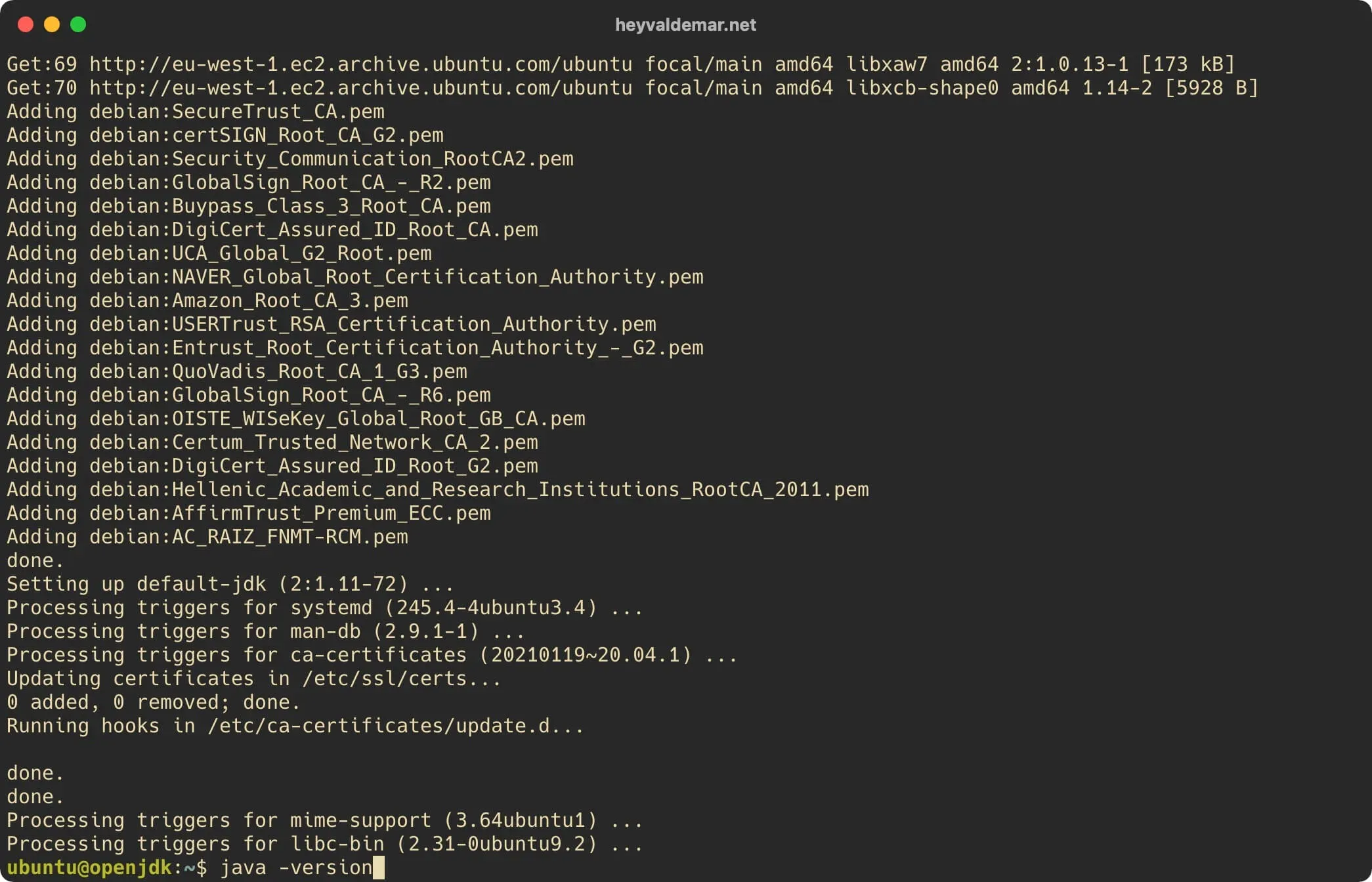 Install OpenJDK on Ubuntu Server - Step 3