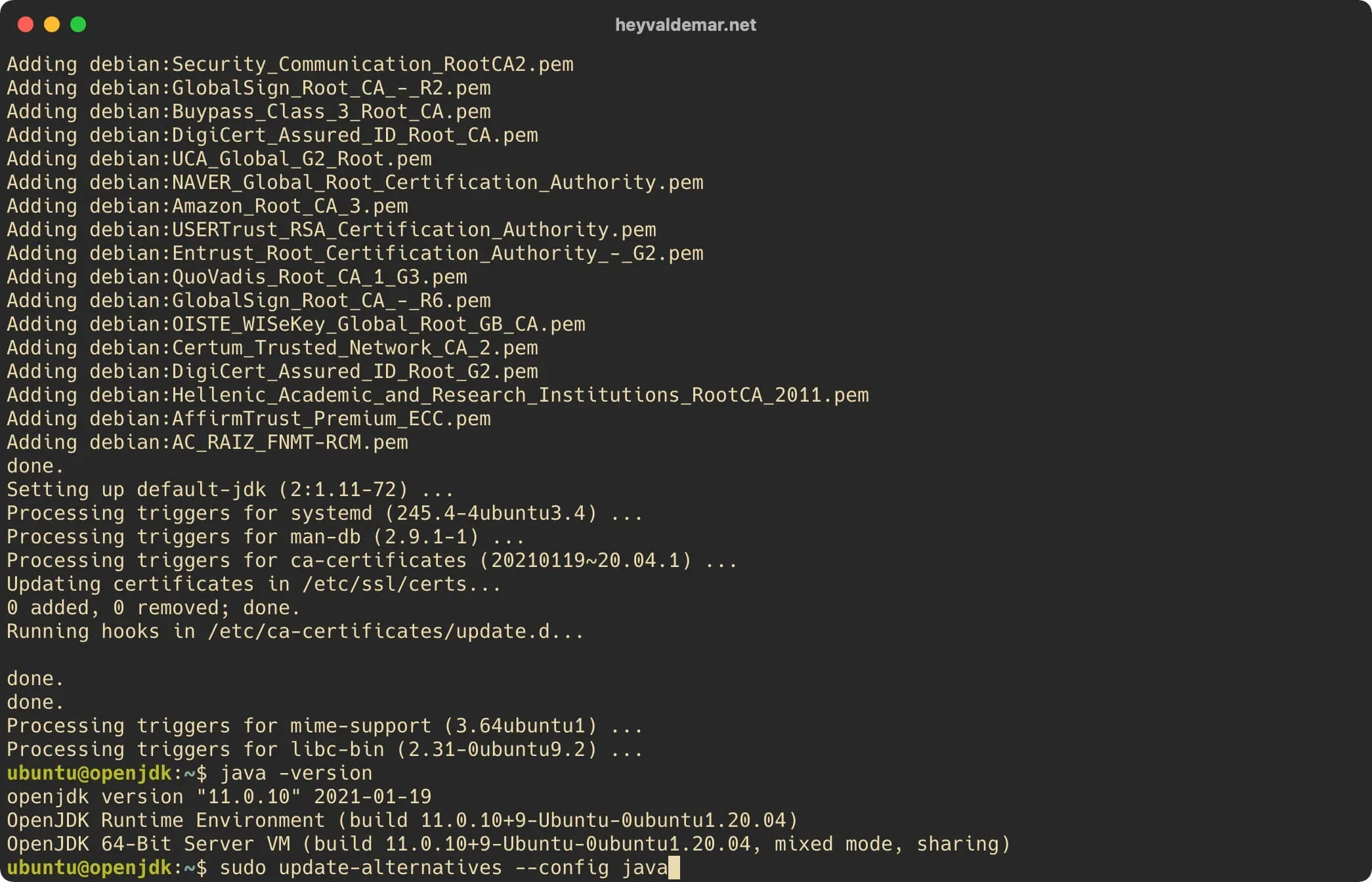 Install OpenJDK on Ubuntu Server - Step 4