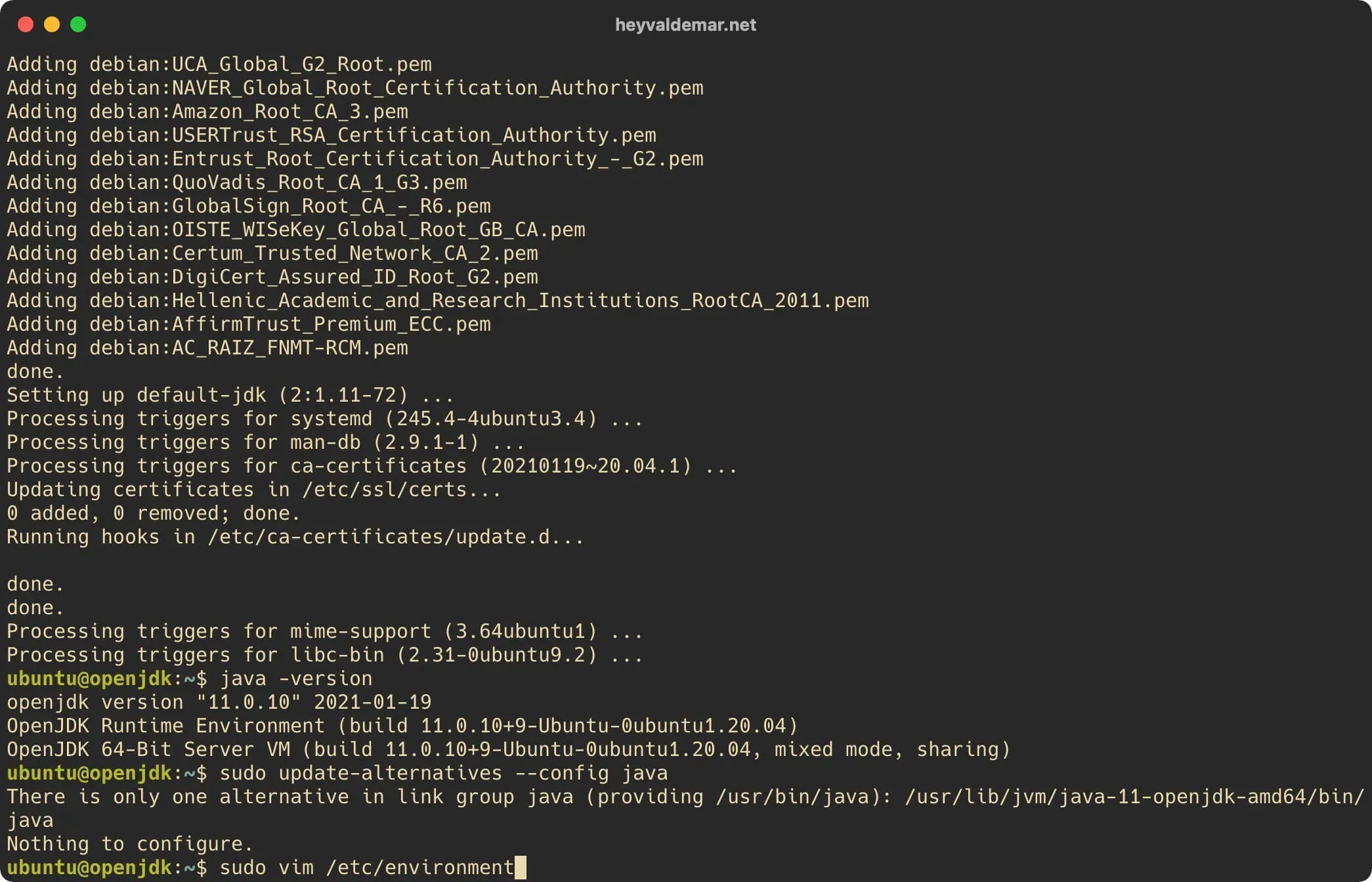 Install OpenJDK on Ubuntu Server - Step 5