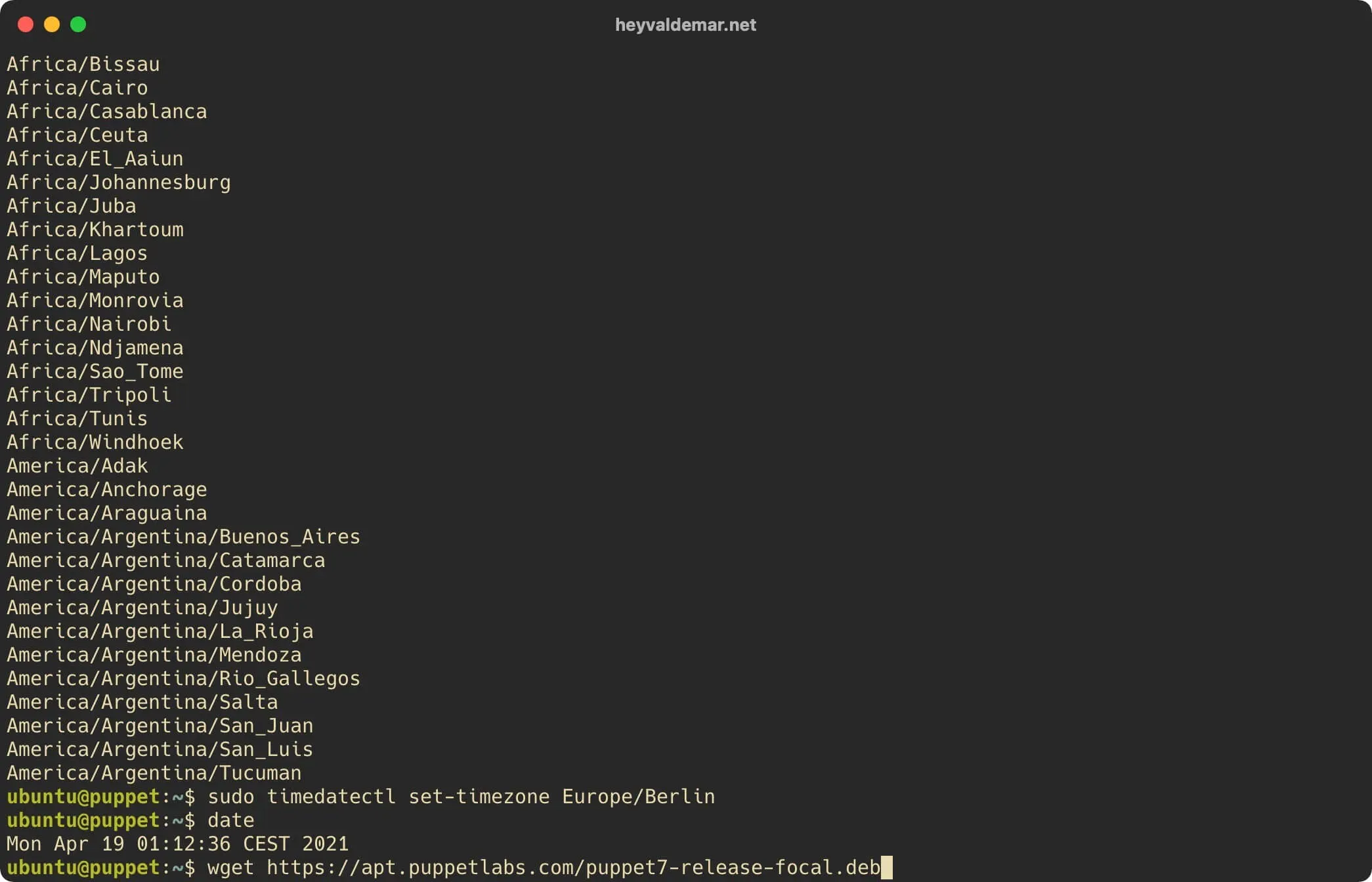 Install Puppet on Ubuntu Server - Step 13