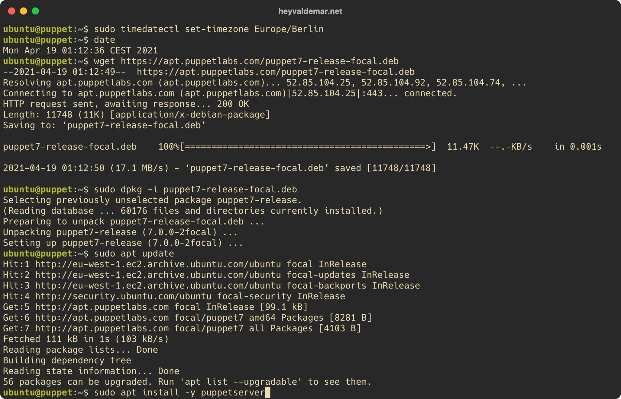 Install Puppet on Ubuntu Server - Step 16