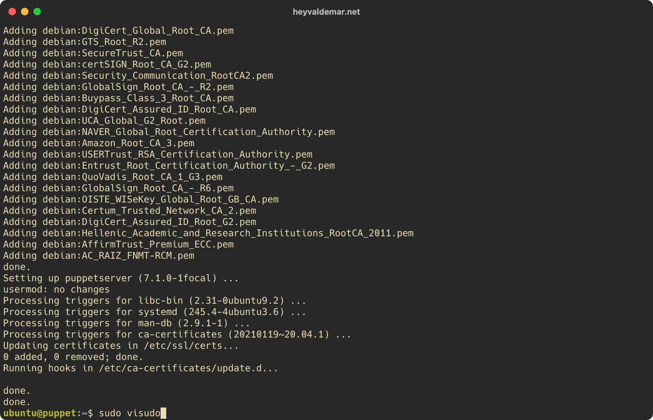 Install Puppet on Ubuntu Server - Step 17