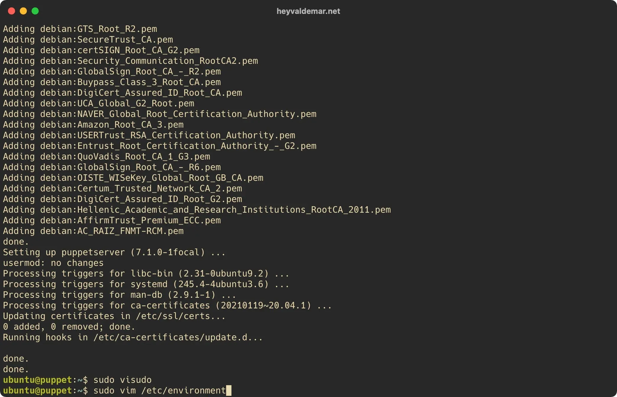 Install Puppet on Ubuntu Server - Step 21