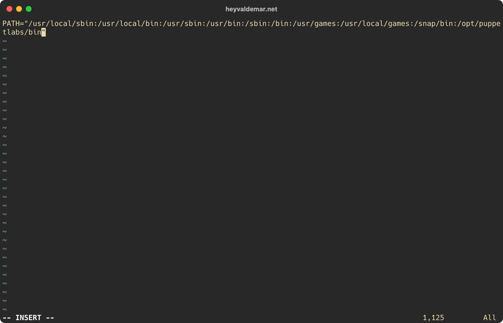 Install Puppet on Ubuntu Server - Step 22