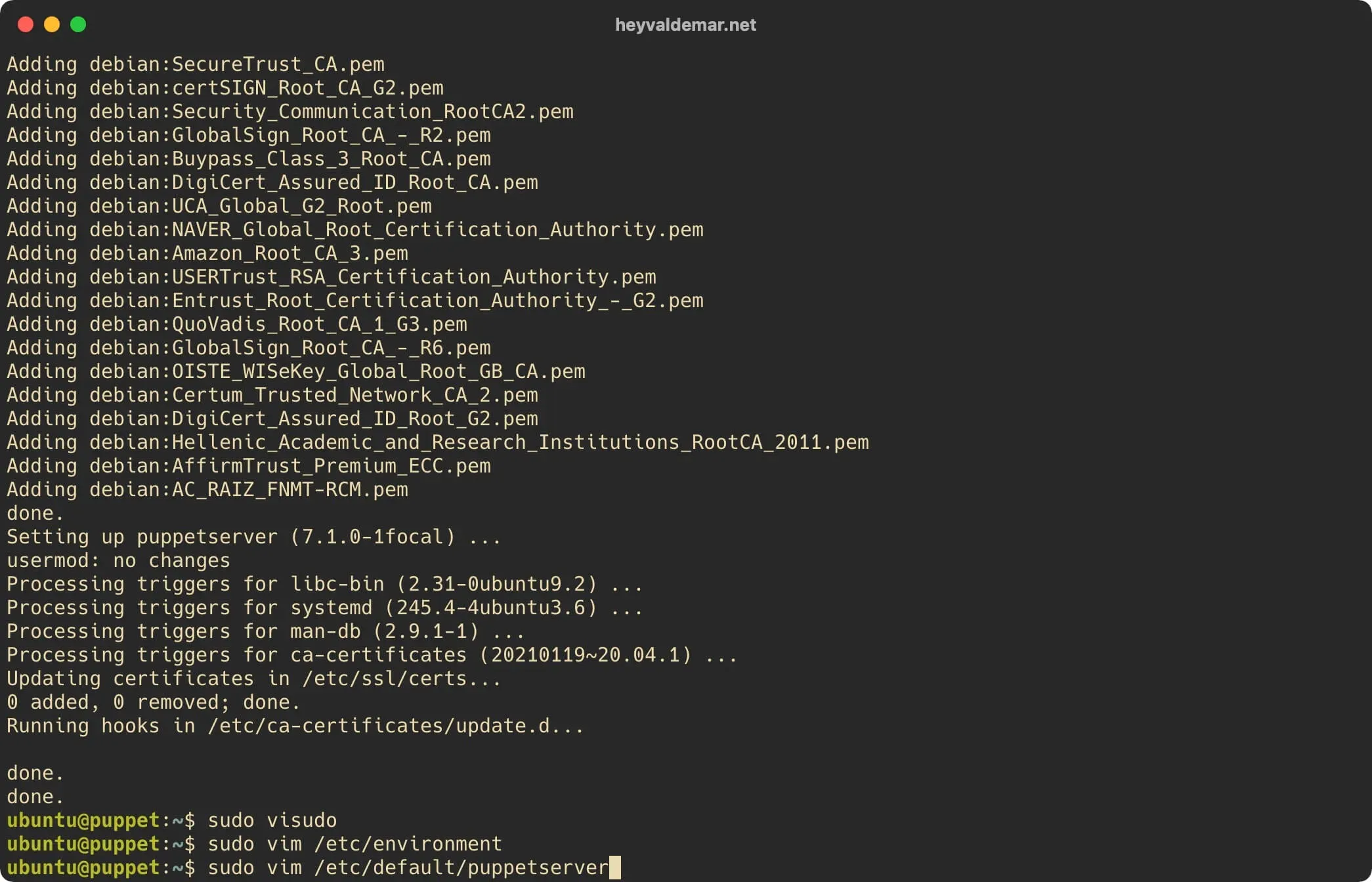 Install Puppet on Ubuntu Server - Step 24