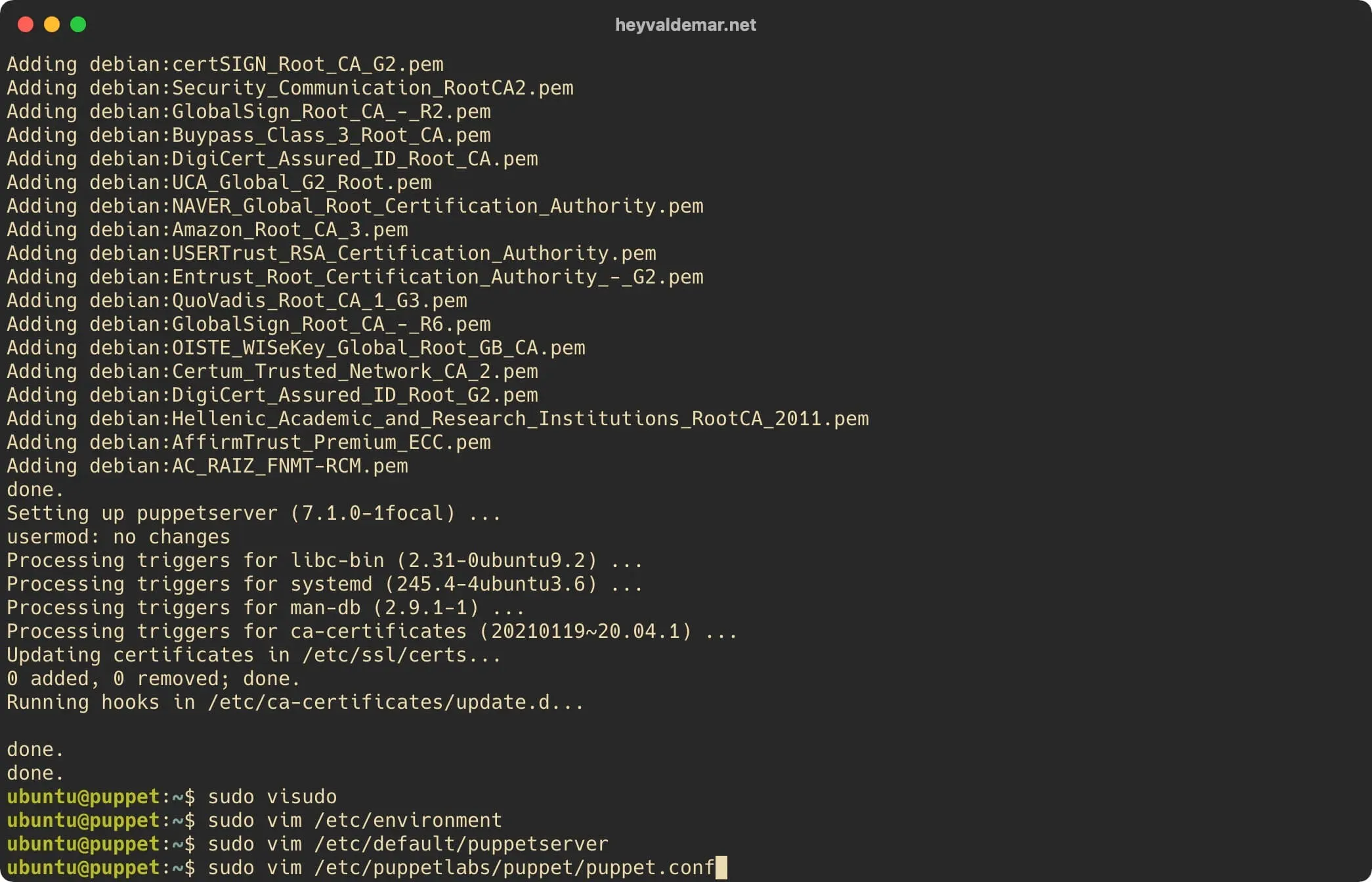 Install Puppet on Ubuntu Server - Step 27
