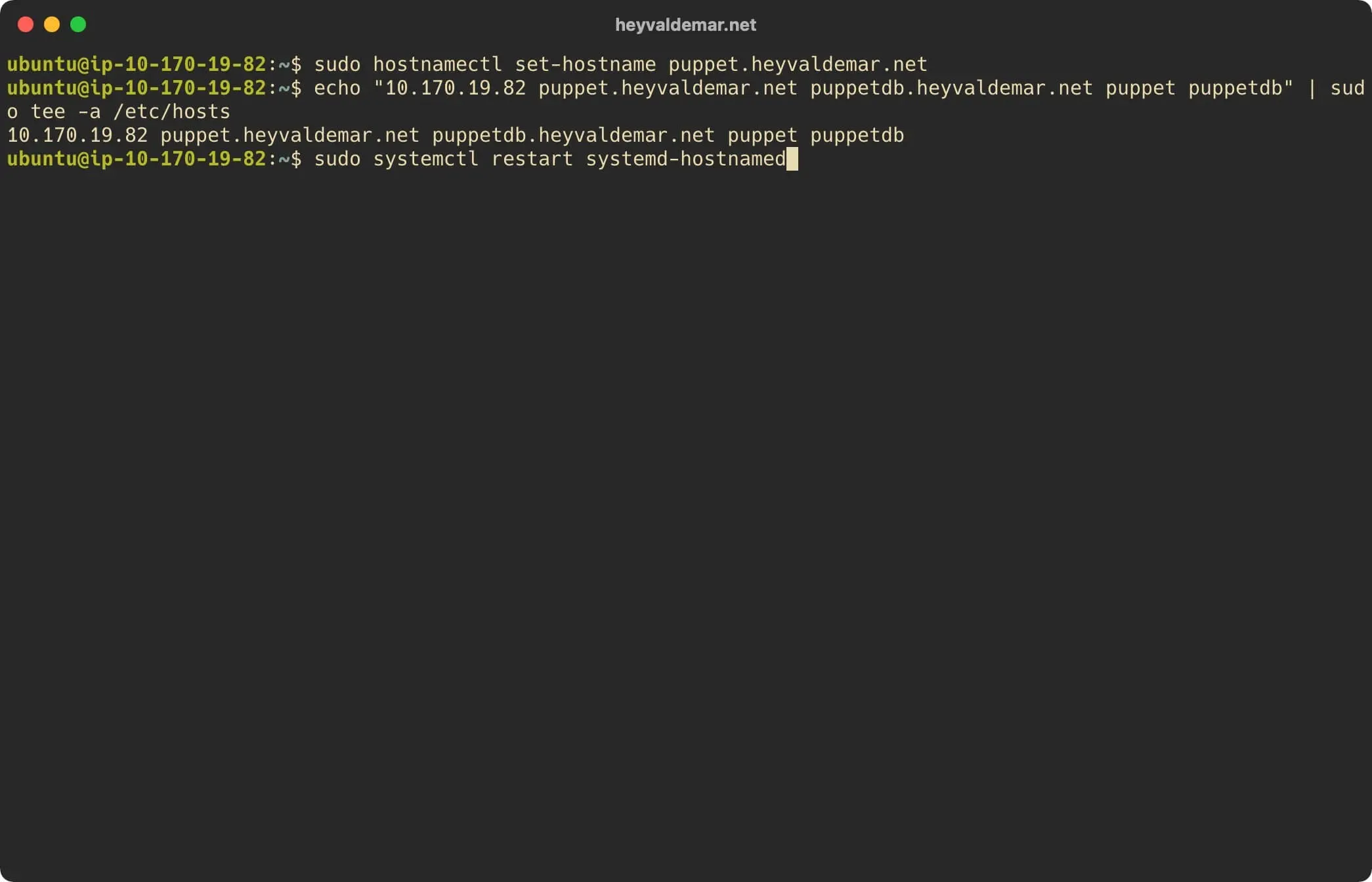 Install Puppet on Ubuntu Server - Step 3