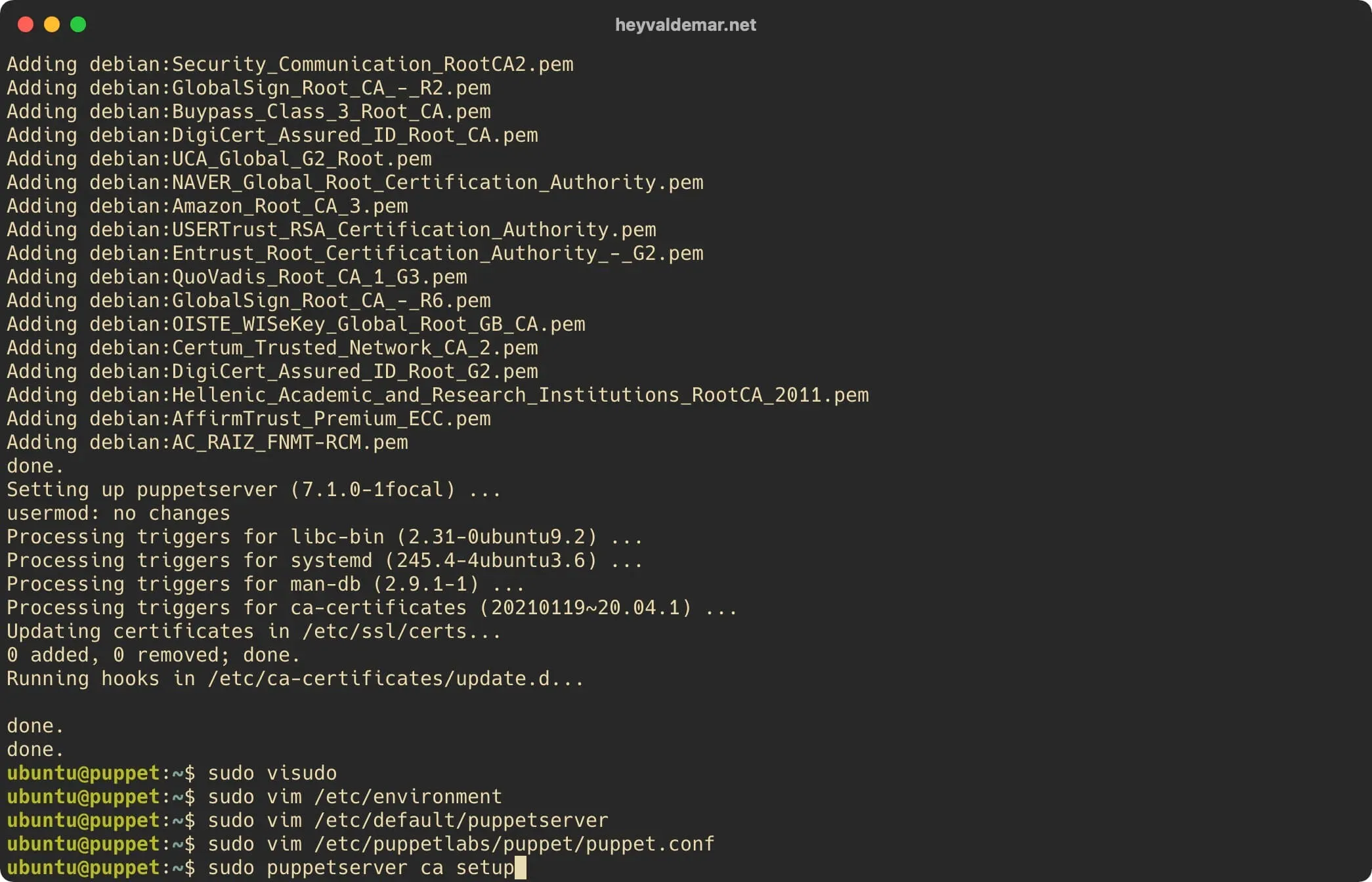 Install Puppet on Ubuntu Server - Step 30