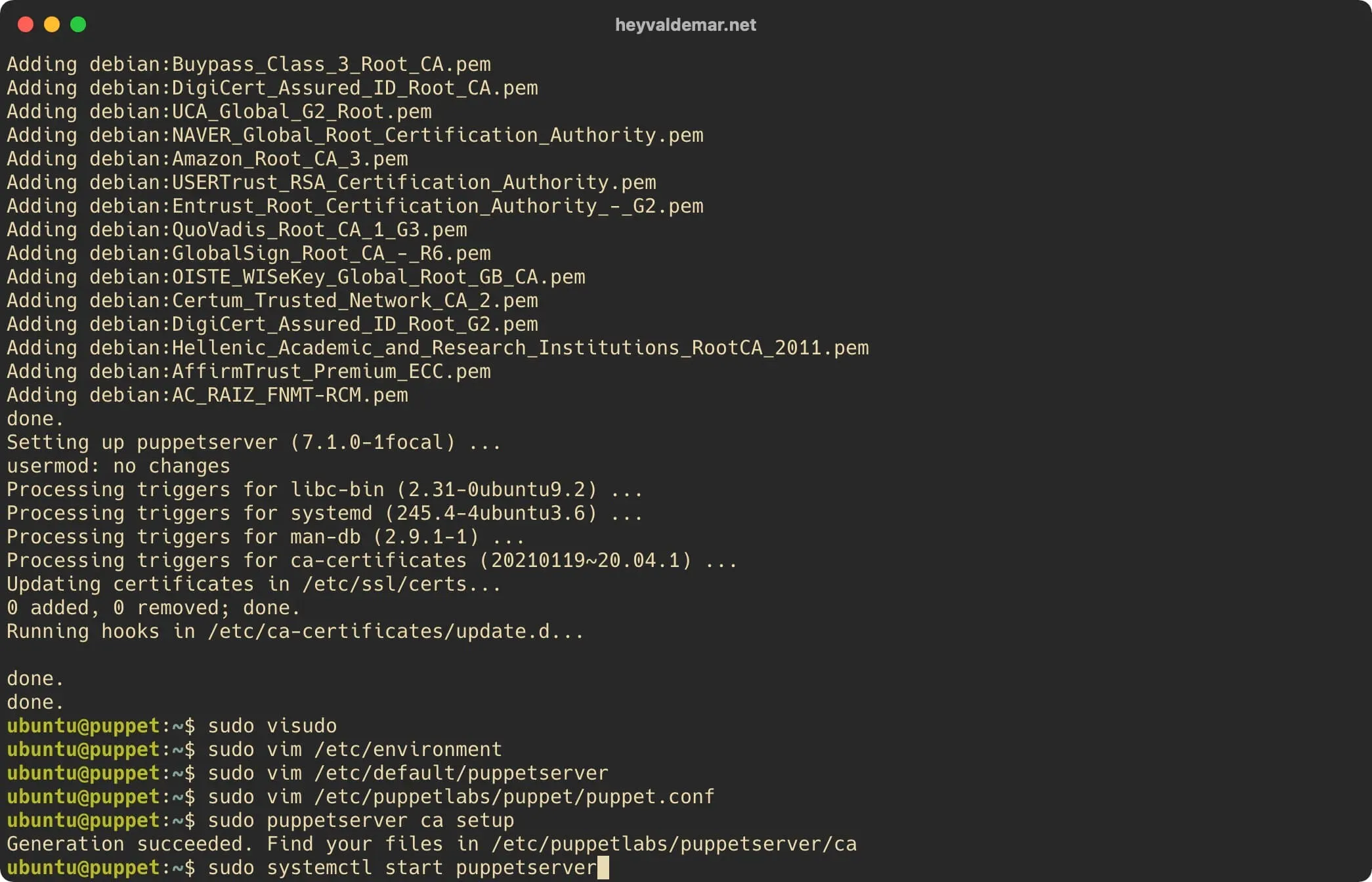Install Puppet on Ubuntu Server - Step 31