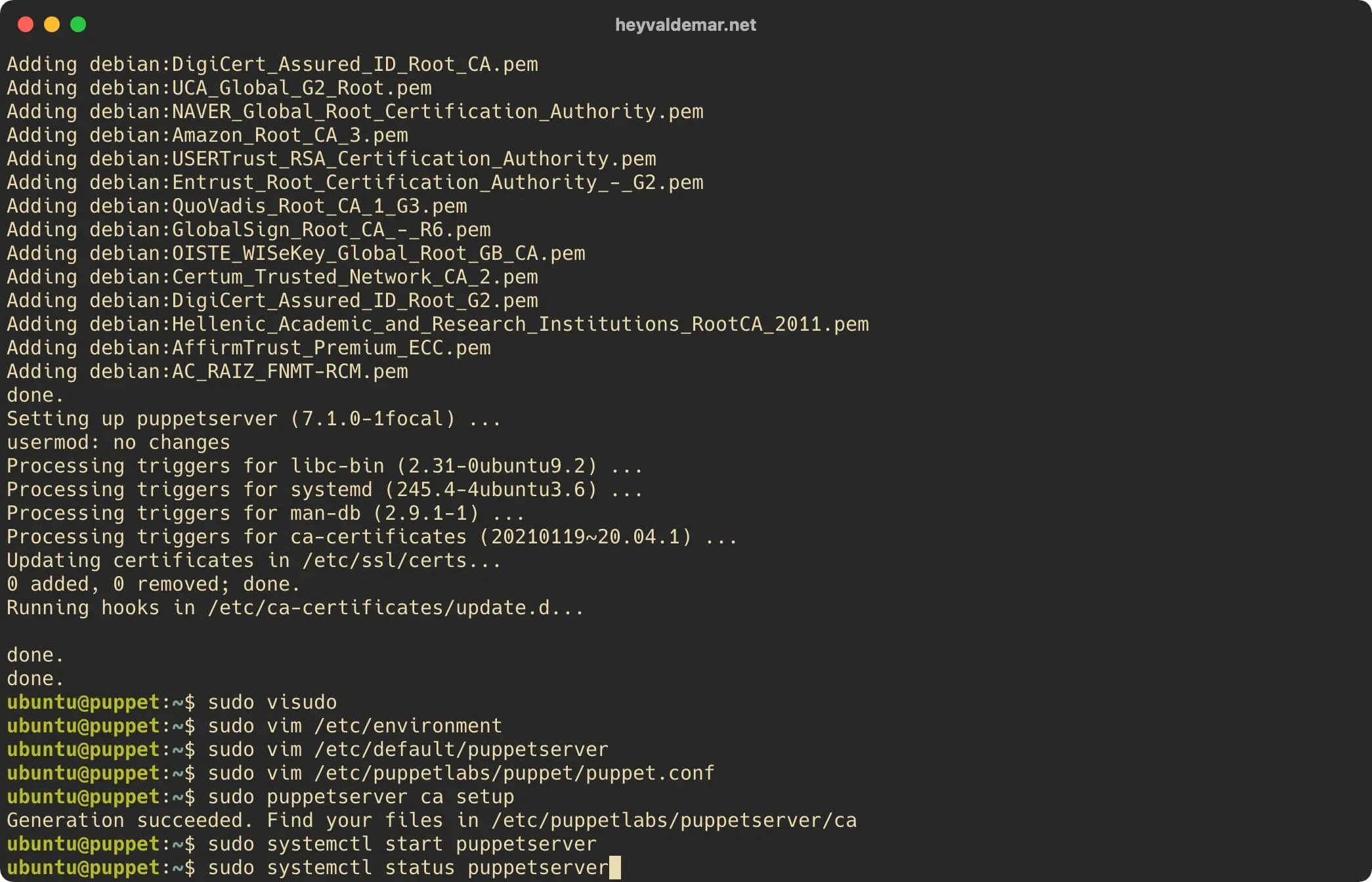 Install Puppet on Ubuntu Server - Step 32