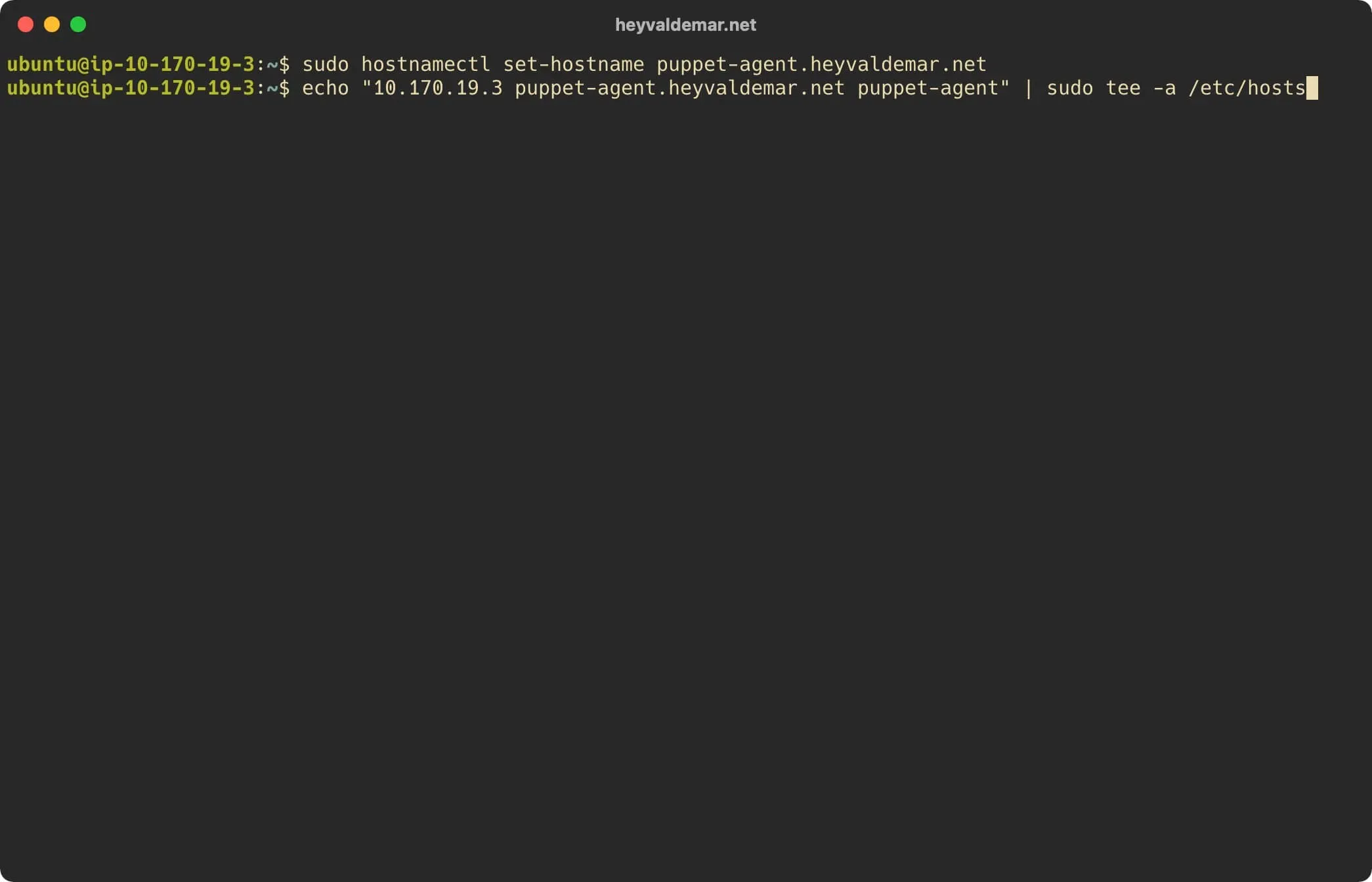 Install Puppet on Ubuntu Server - Step 35