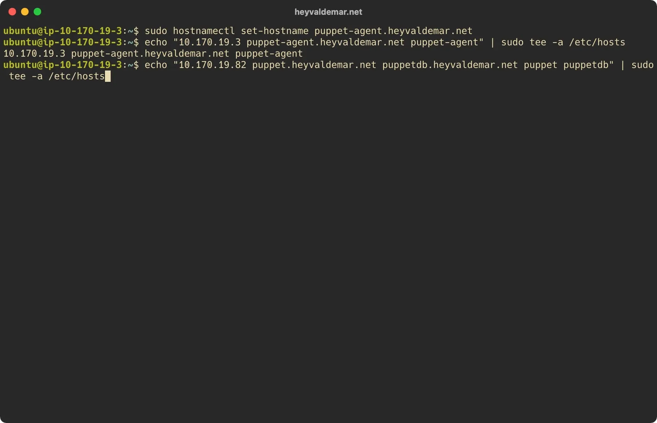 Install Puppet on Ubuntu Server - Step 36