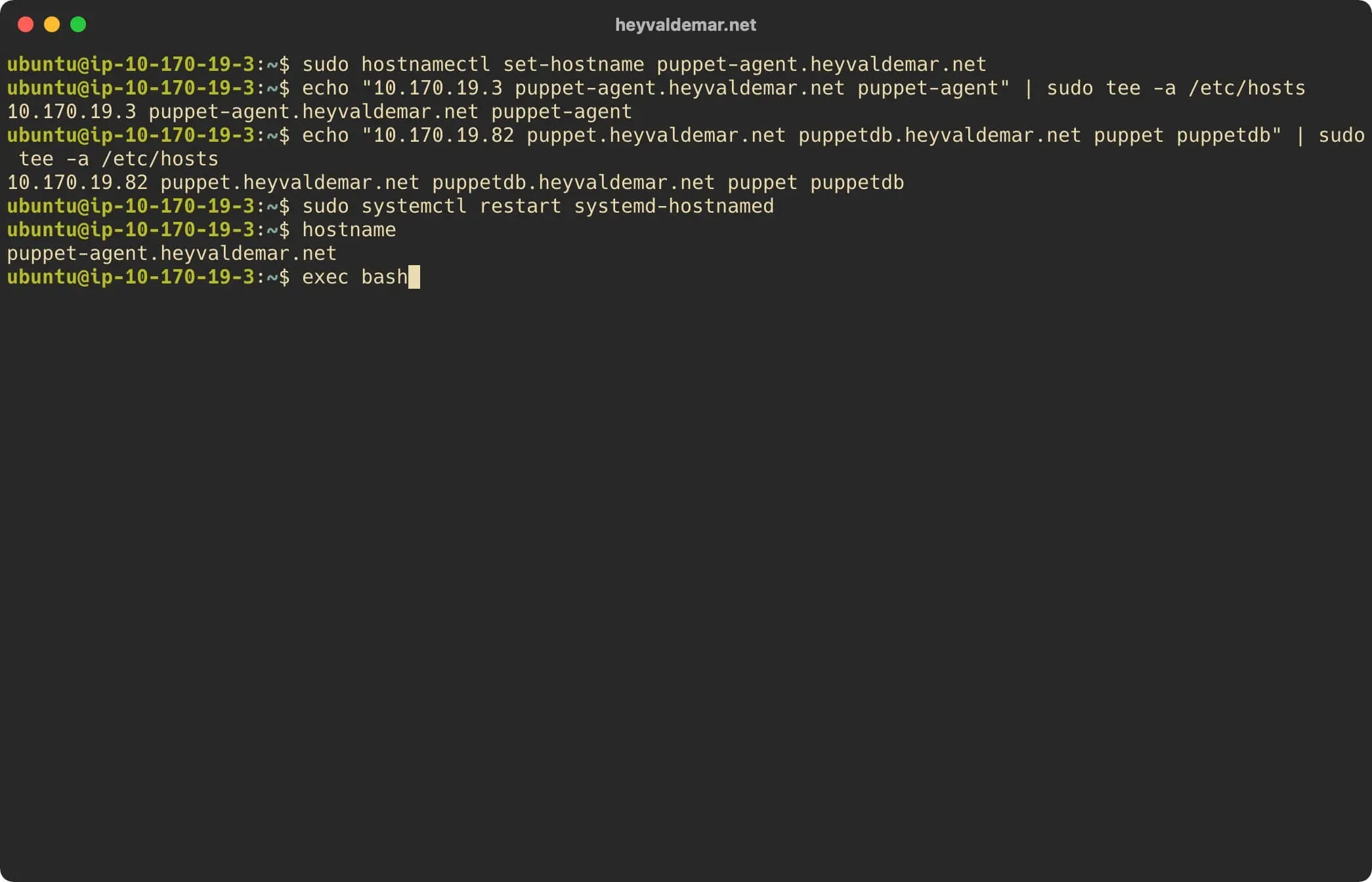 Install Puppet on Ubuntu Server - Step 39