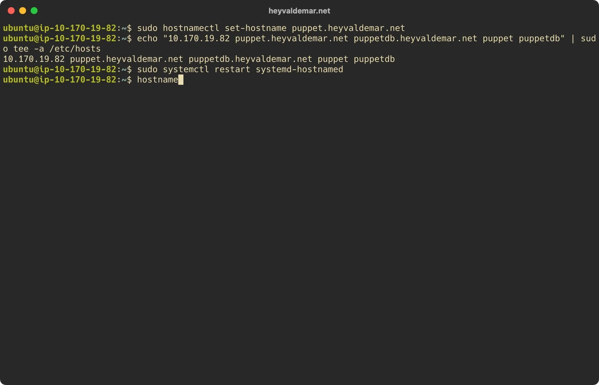 Install Puppet on Ubuntu Server - Step 4