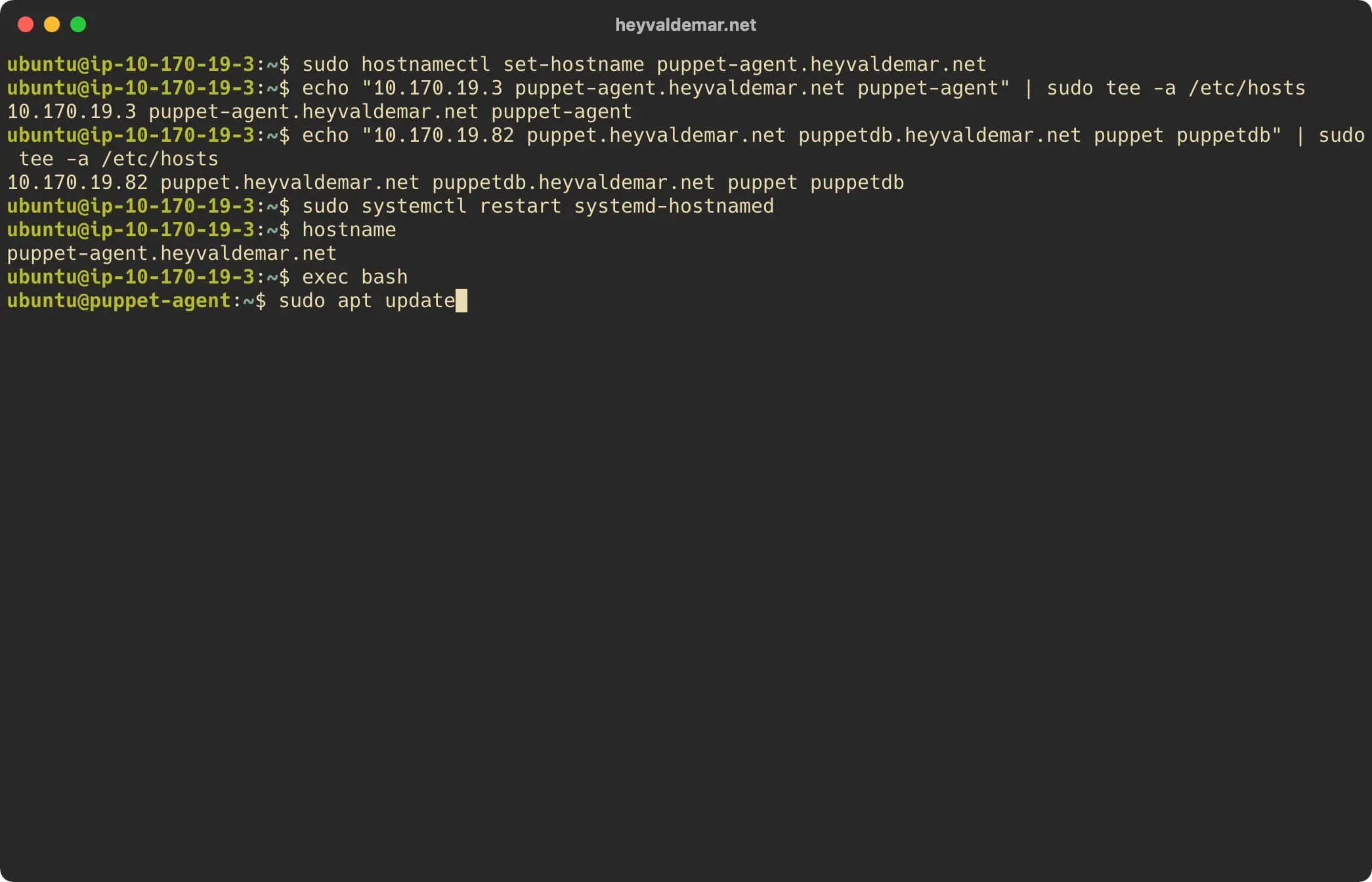 Install Puppet on Ubuntu Server - Step 40