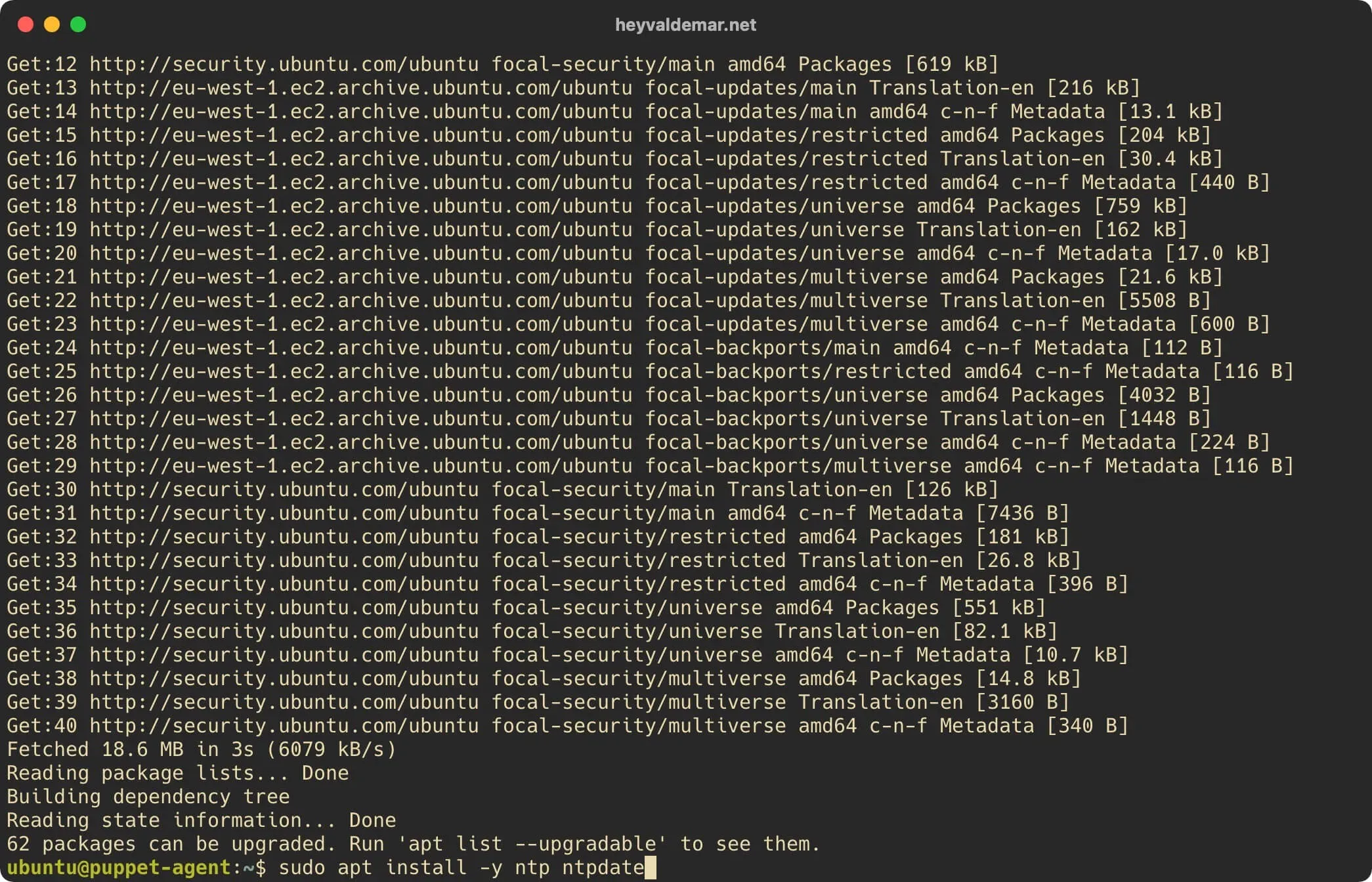 Install Puppet on Ubuntu Server - Step 41