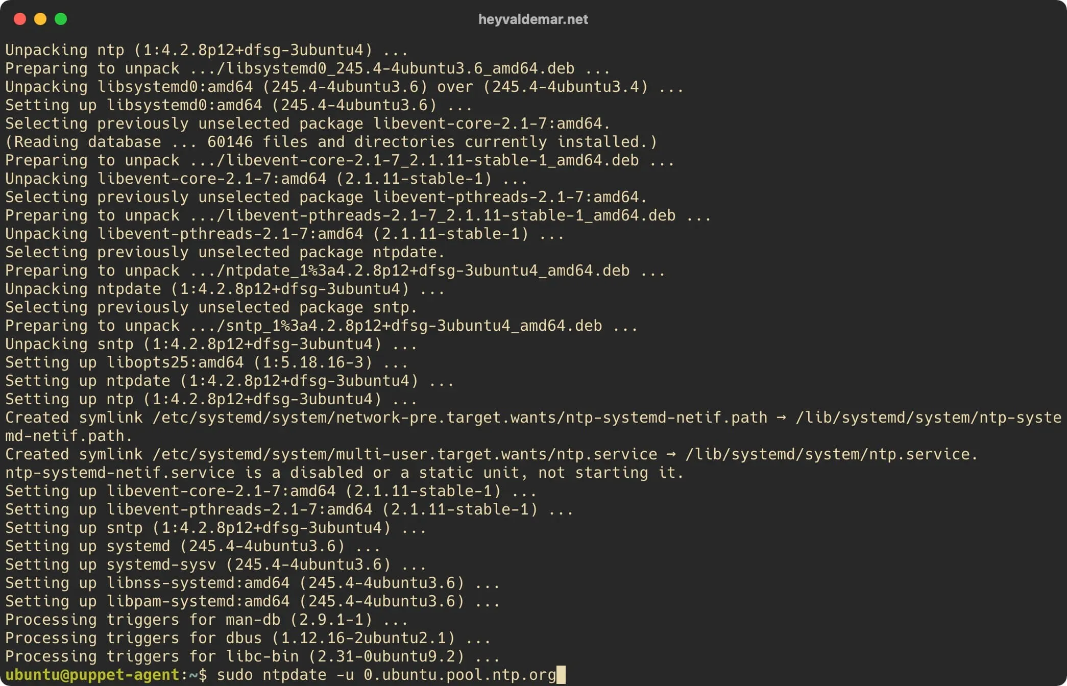Install Puppet on Ubuntu Server - Step 42