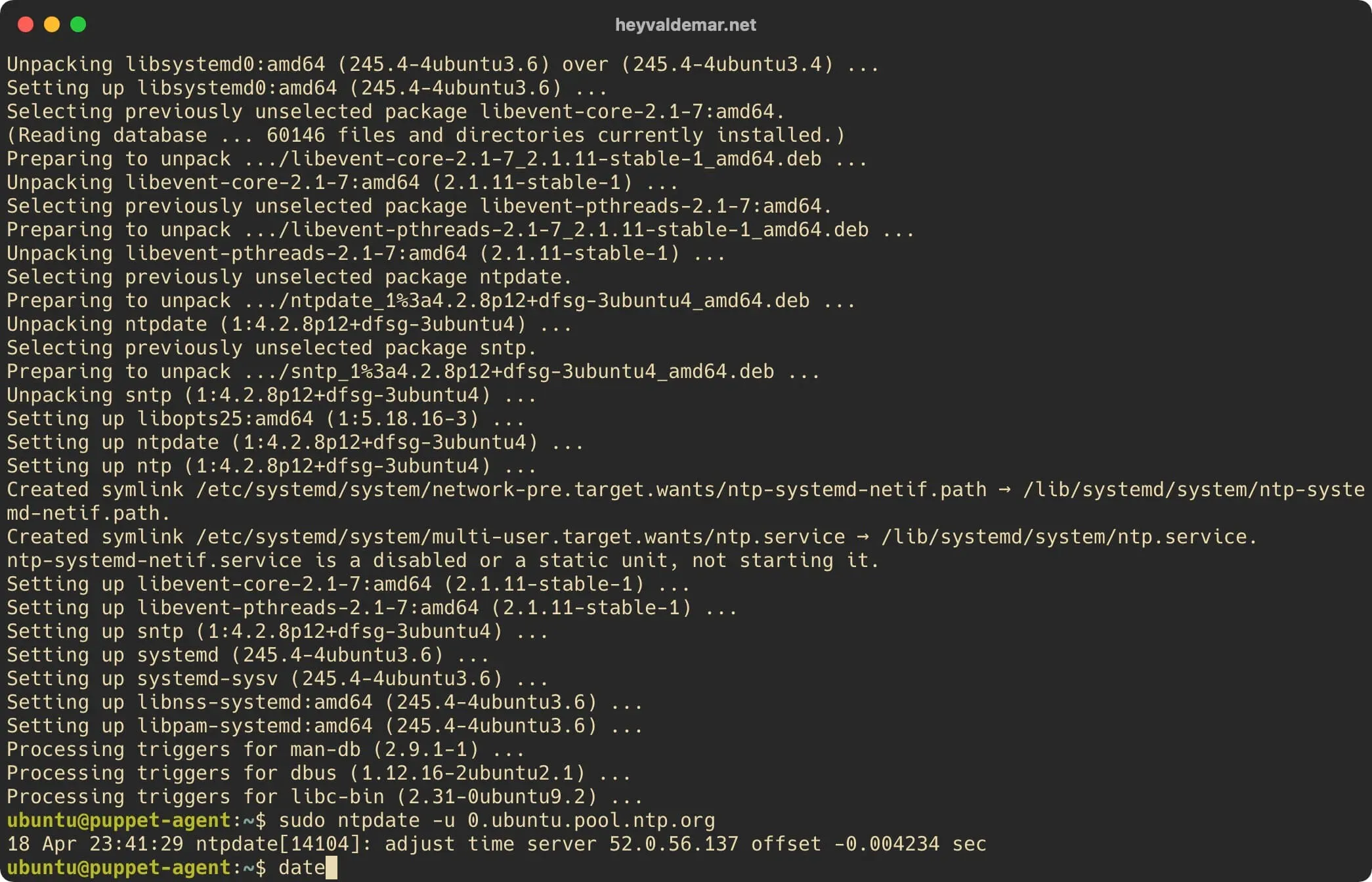 Install Puppet on Ubuntu Server - Step 43