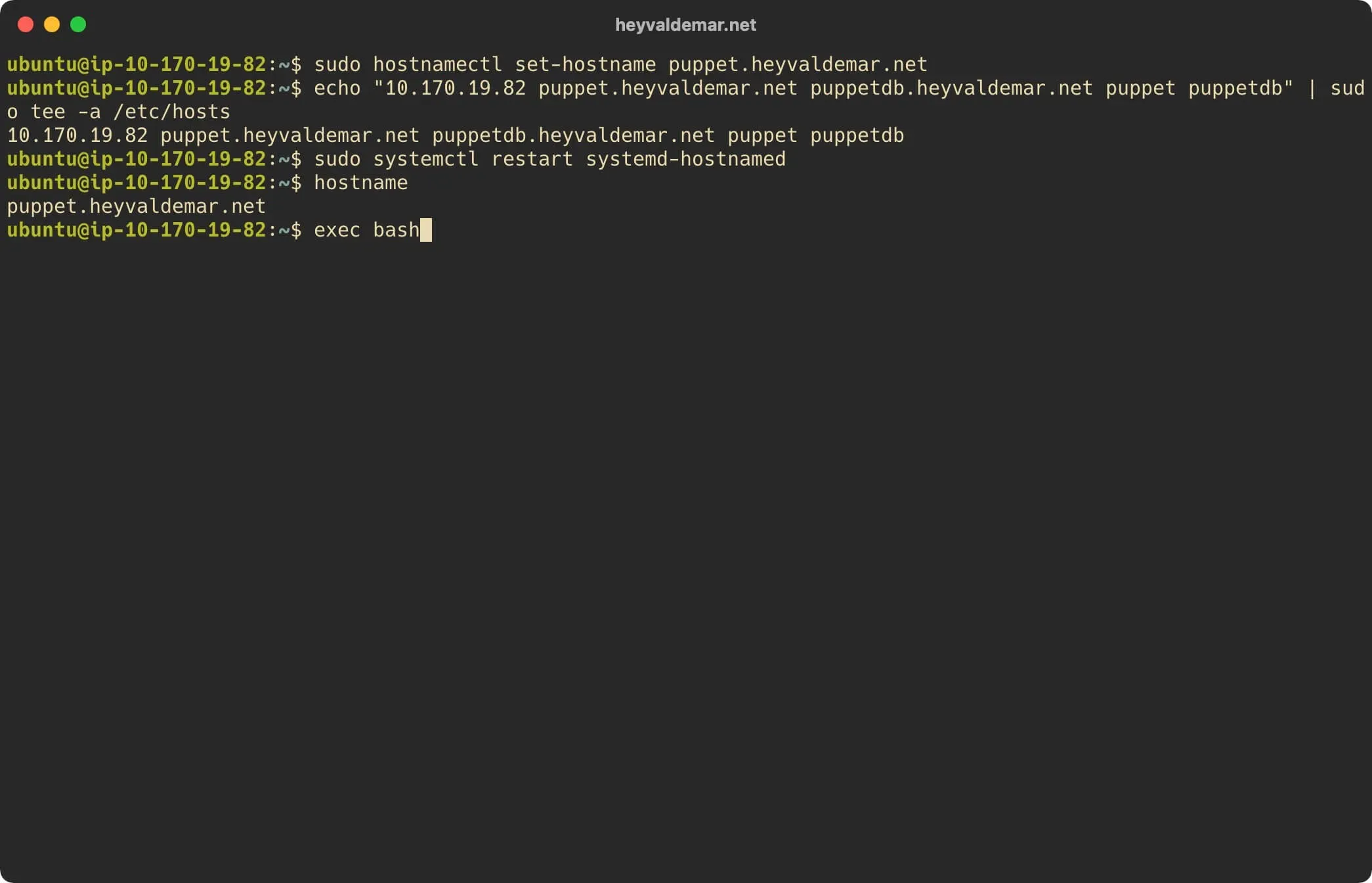 Install Puppet on Ubuntu Server - Step 5