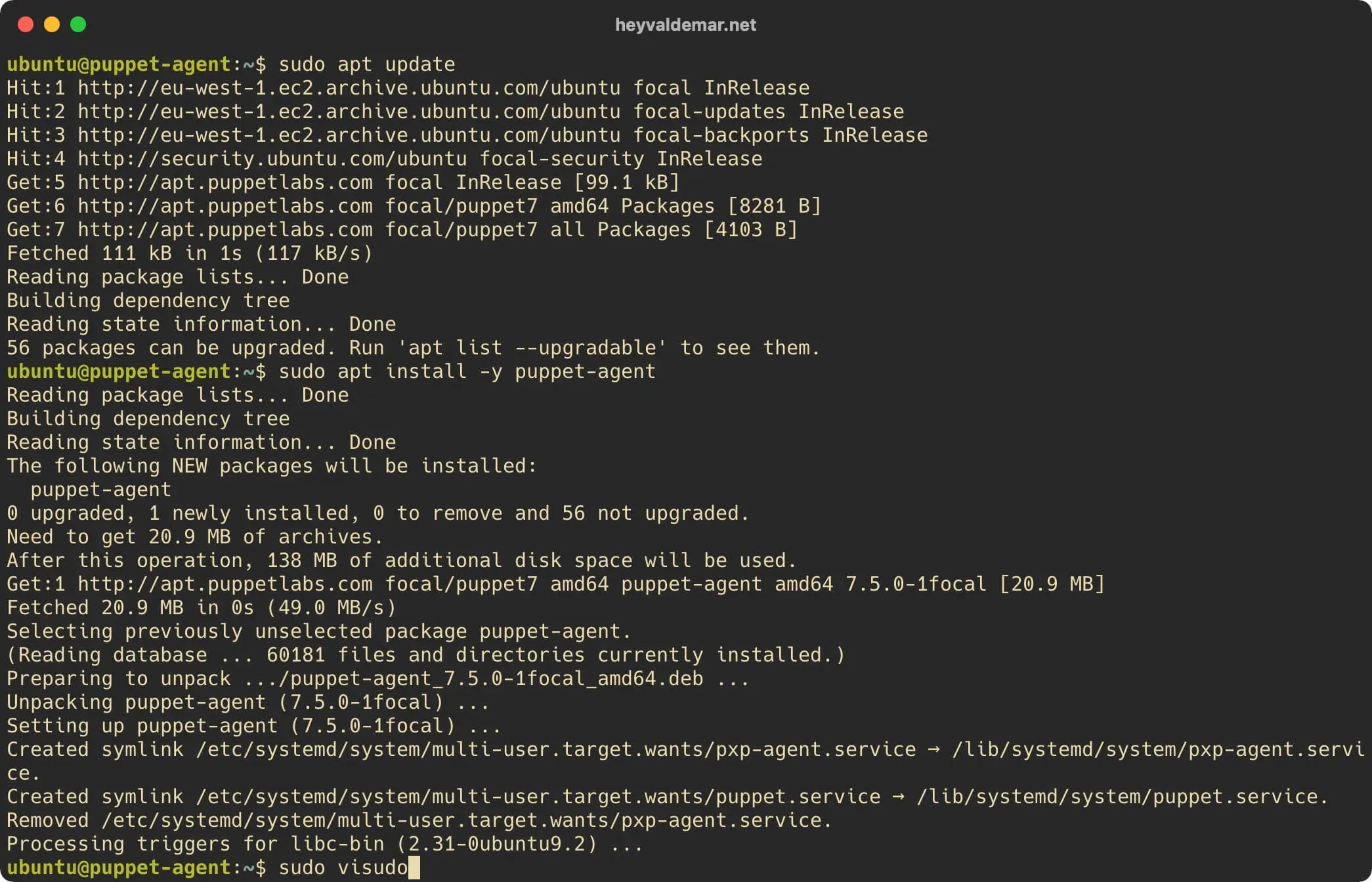 Install Puppet on Ubuntu Server - Step 51
