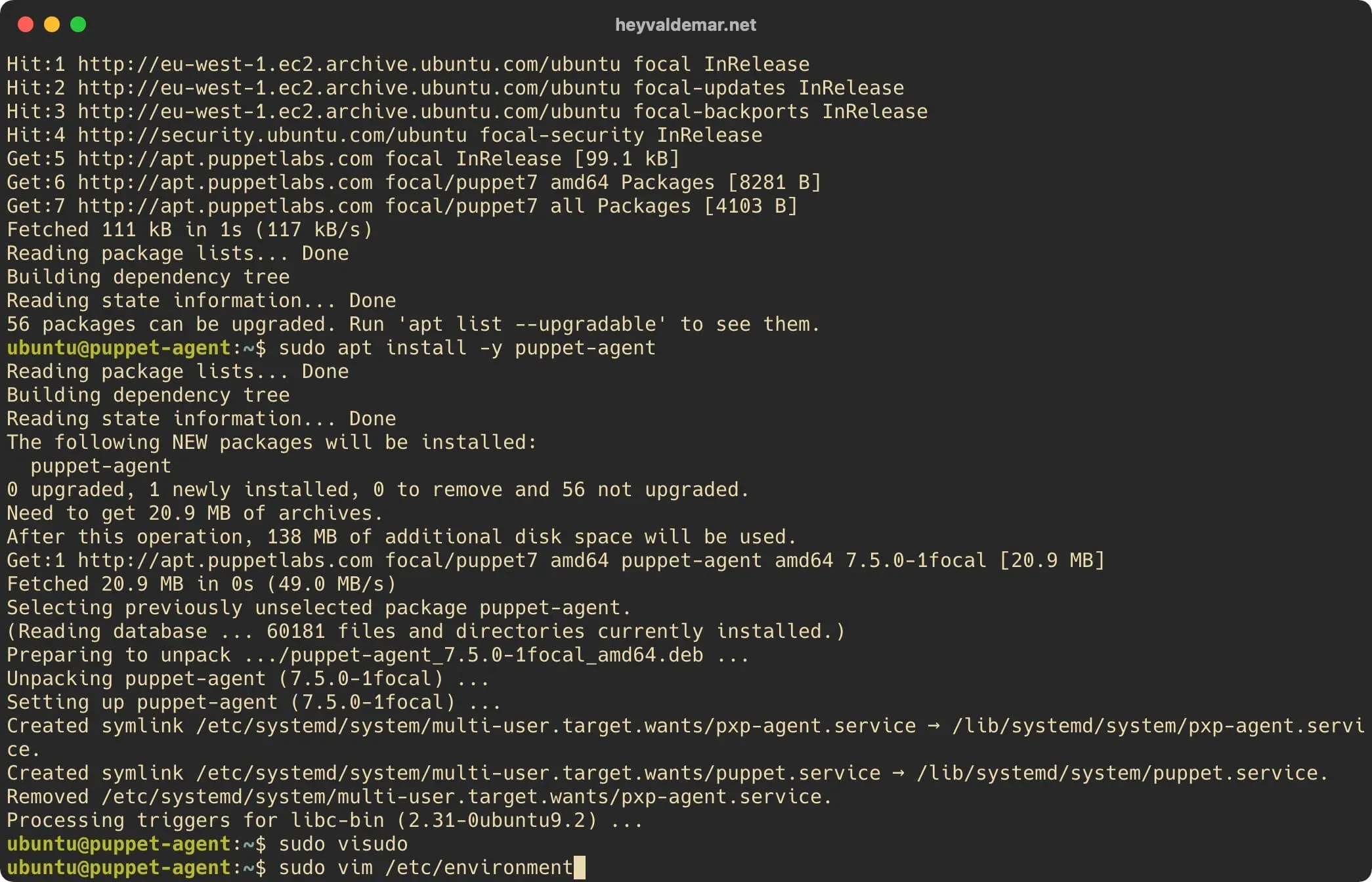 Install Puppet on Ubuntu Server - Step 55