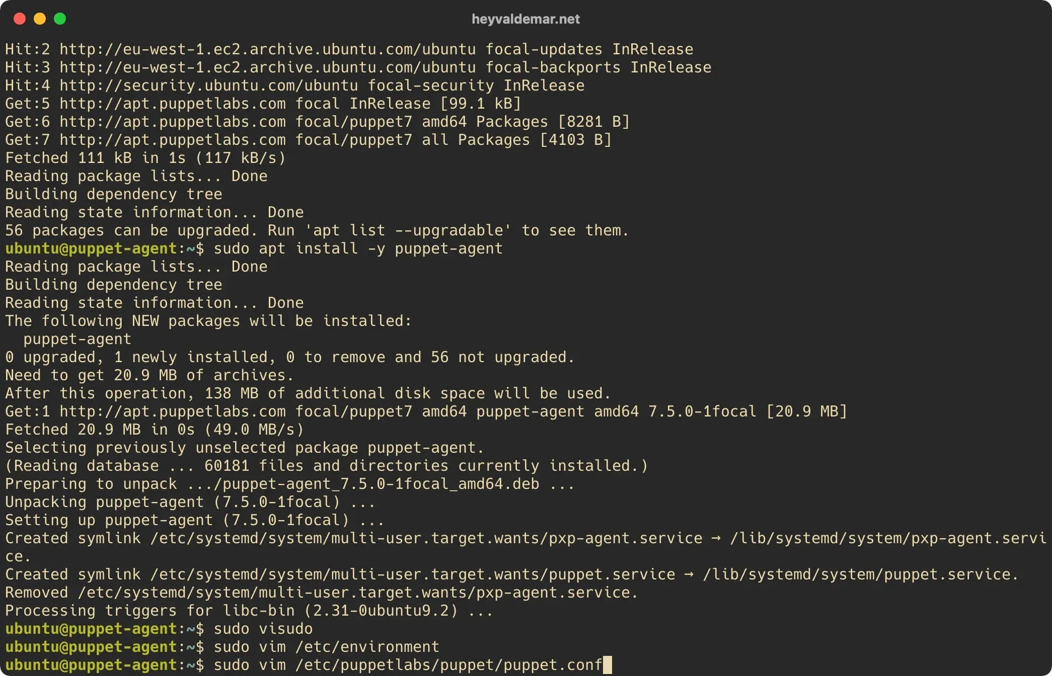 Install Puppet on Ubuntu Server - Step 58