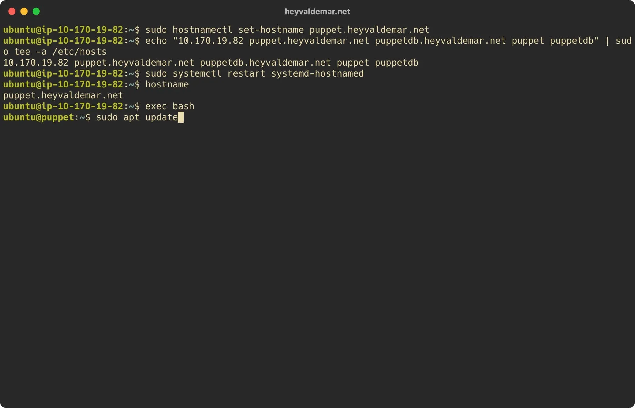 Install Puppet on Ubuntu Server - Step 6