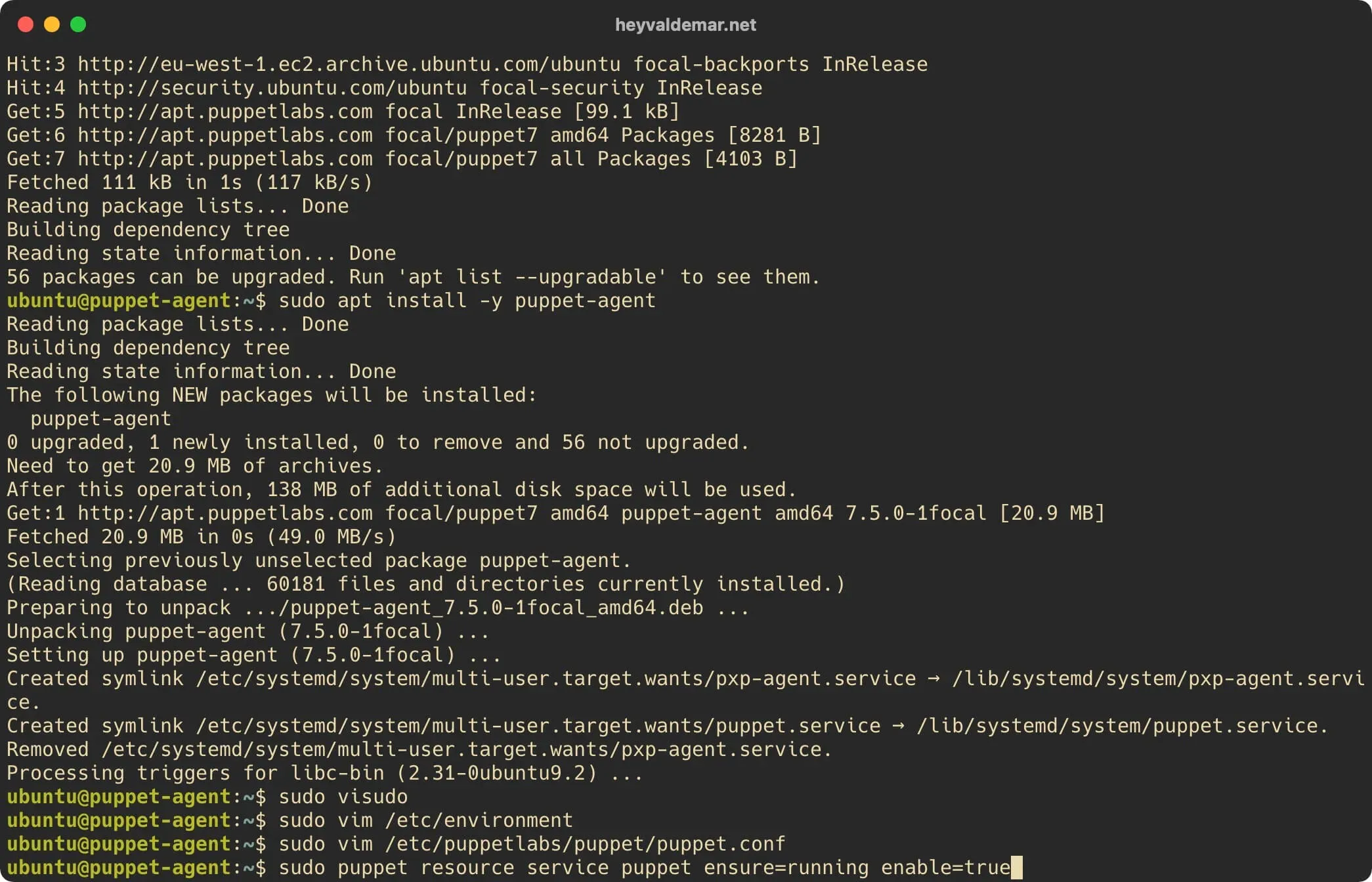 Install Puppet on Ubuntu Server - Step 61