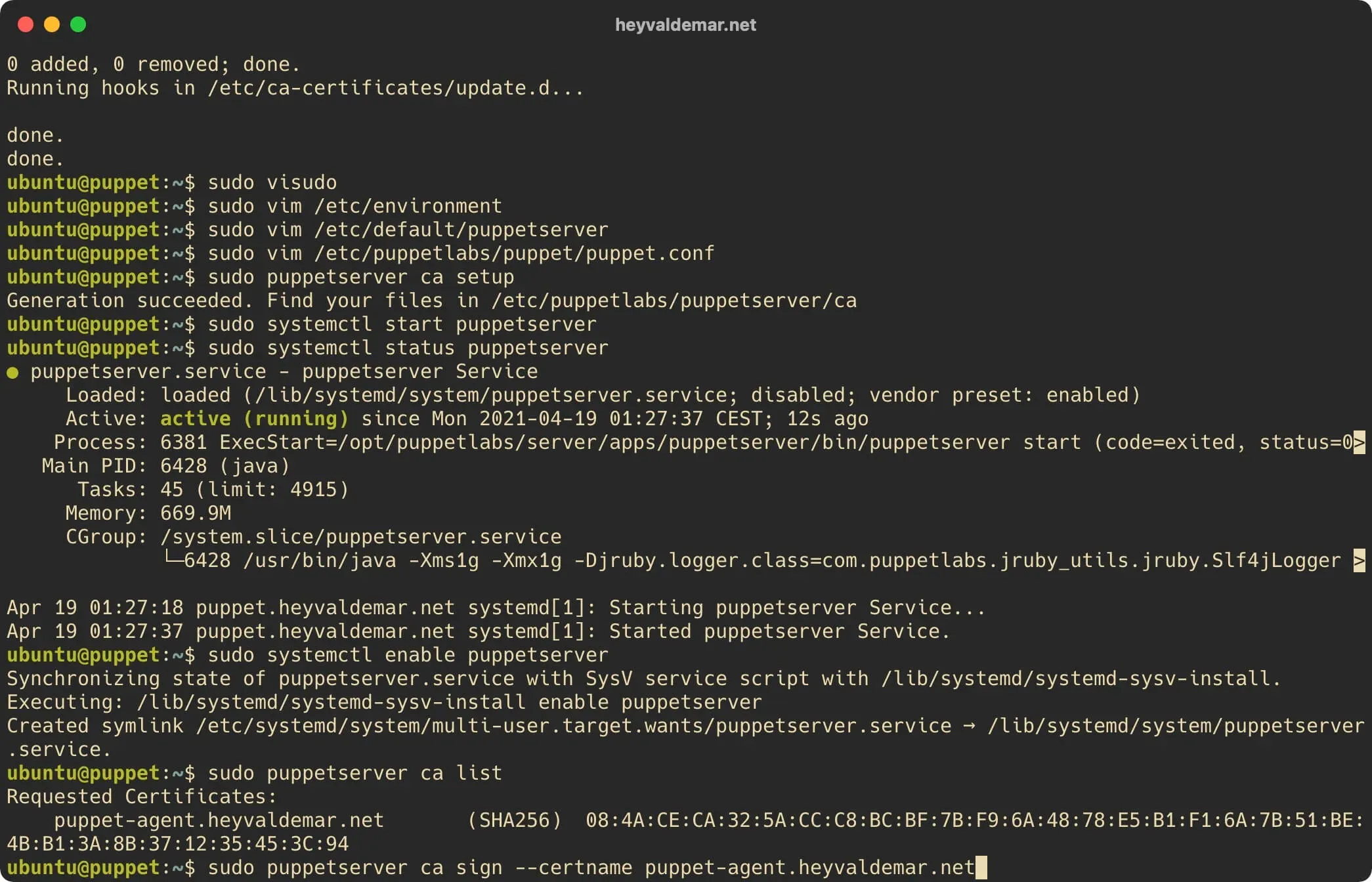 Install Puppet on Ubuntu Server - Step 63