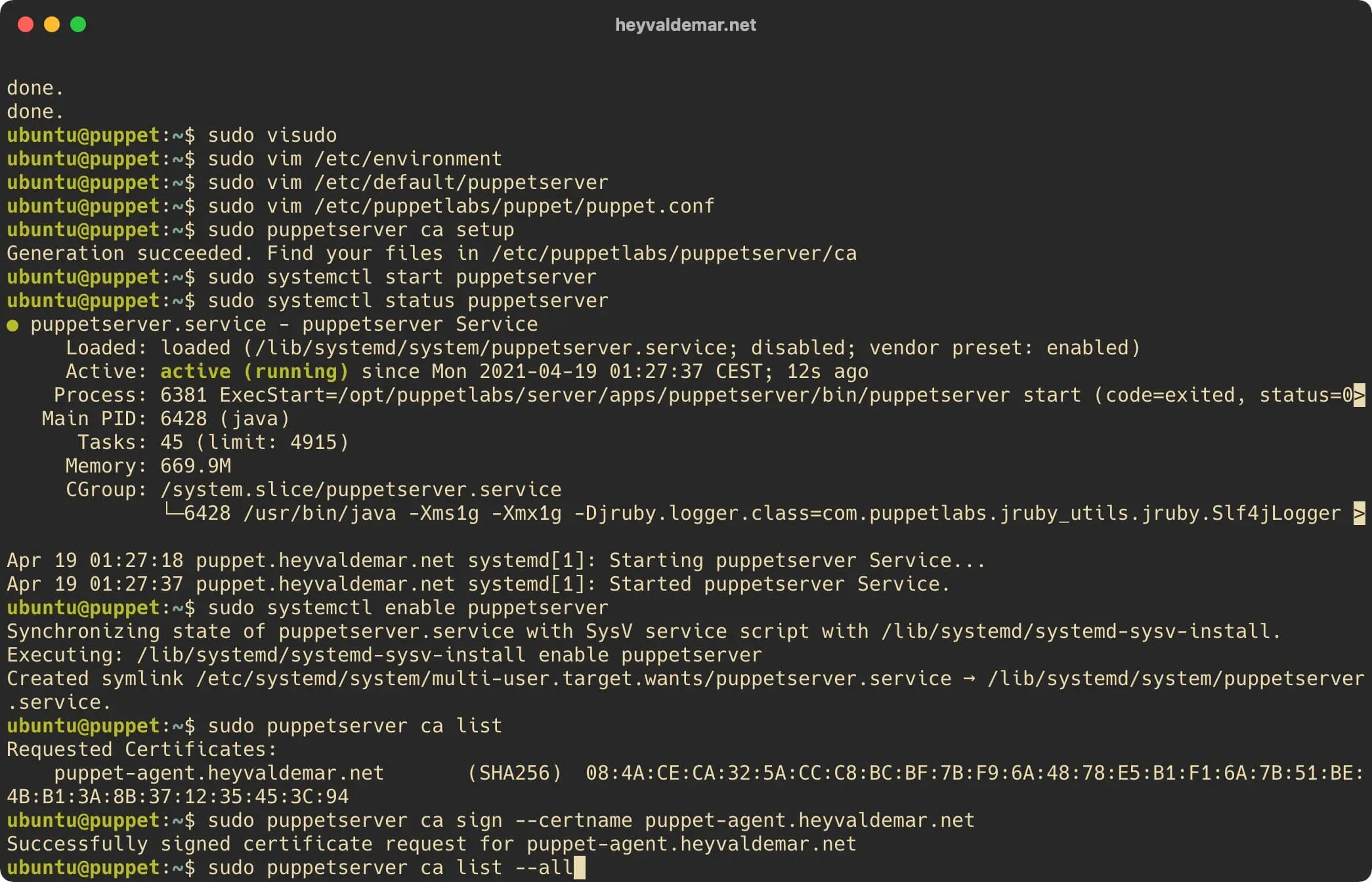 Install Puppet on Ubuntu Server - Step 64