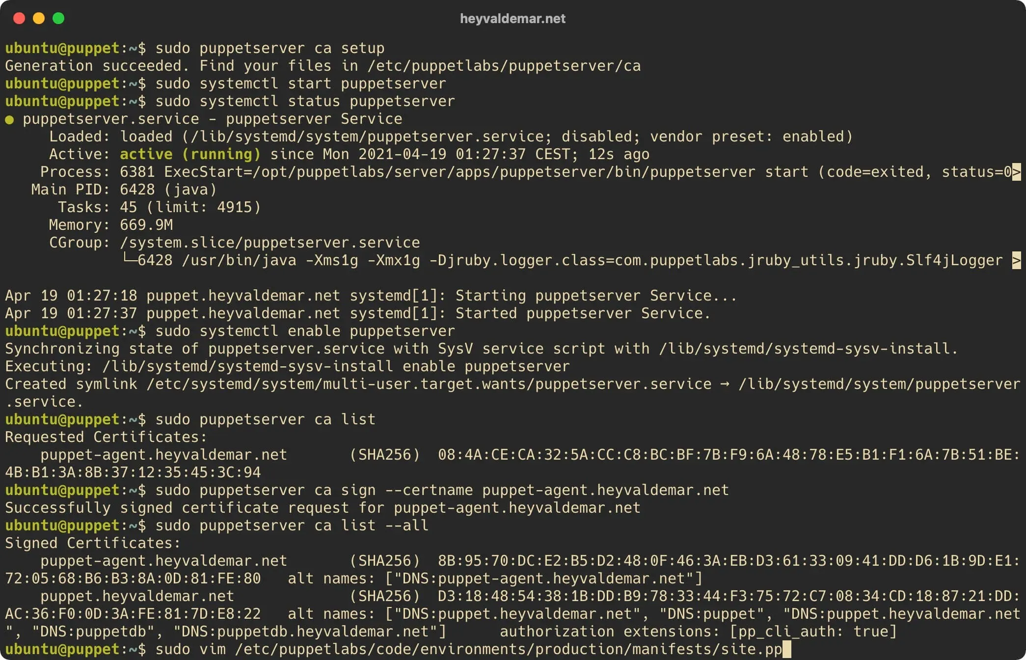 Install Puppet on Ubuntu Server - Step 65