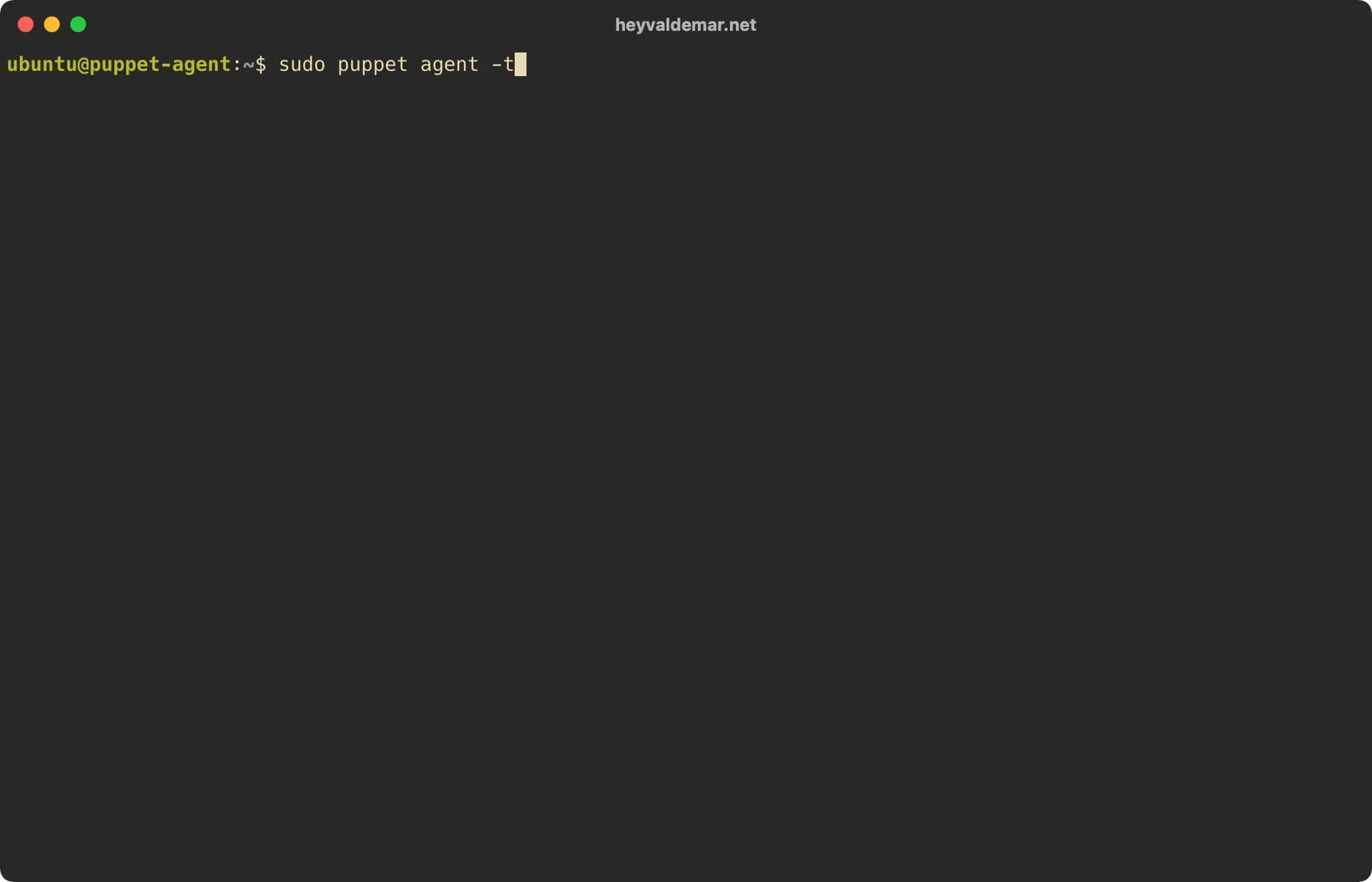 Install Puppet on Ubuntu Server - Step 68
