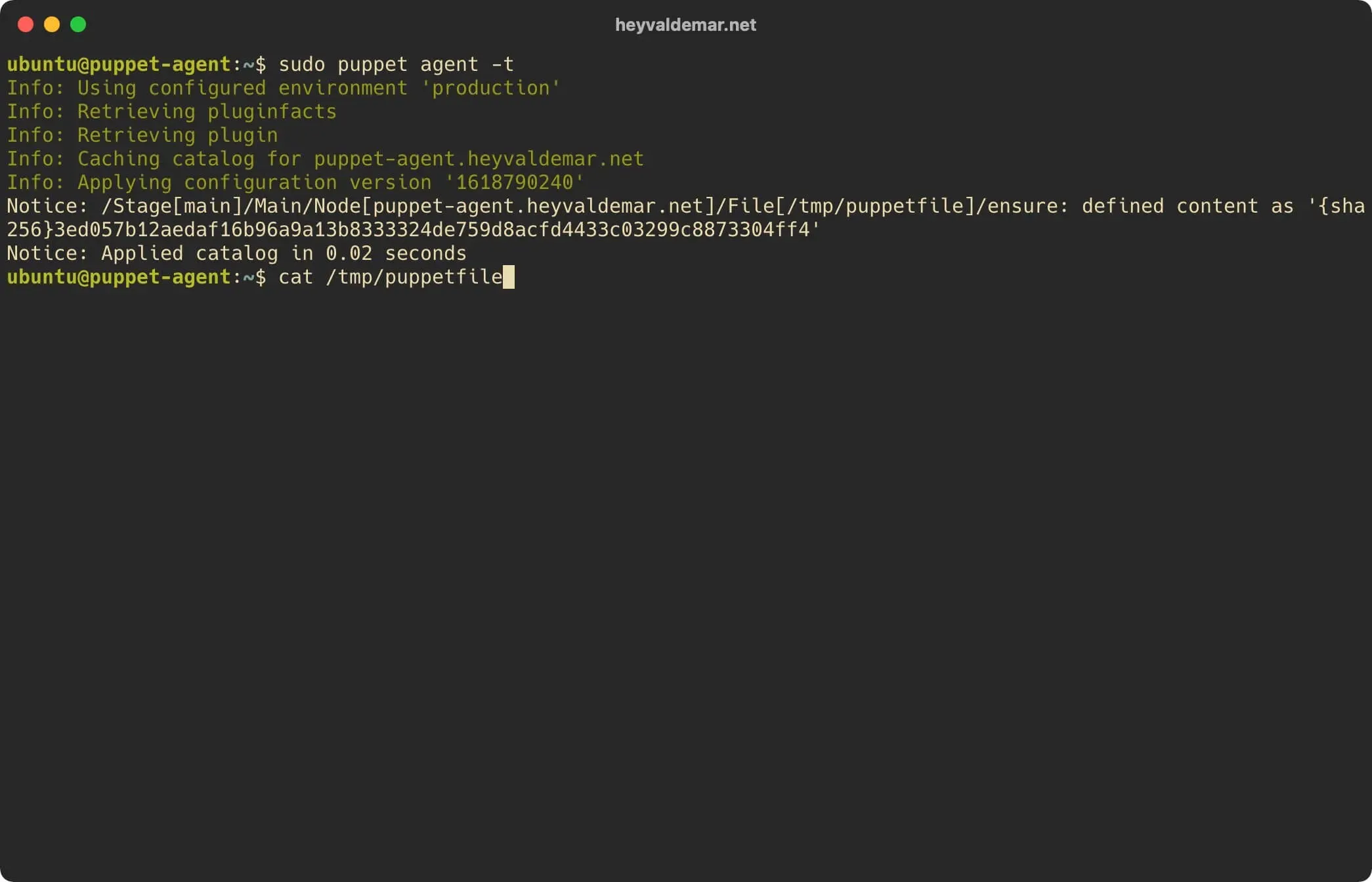 Install Puppet on Ubuntu Server - Step 69