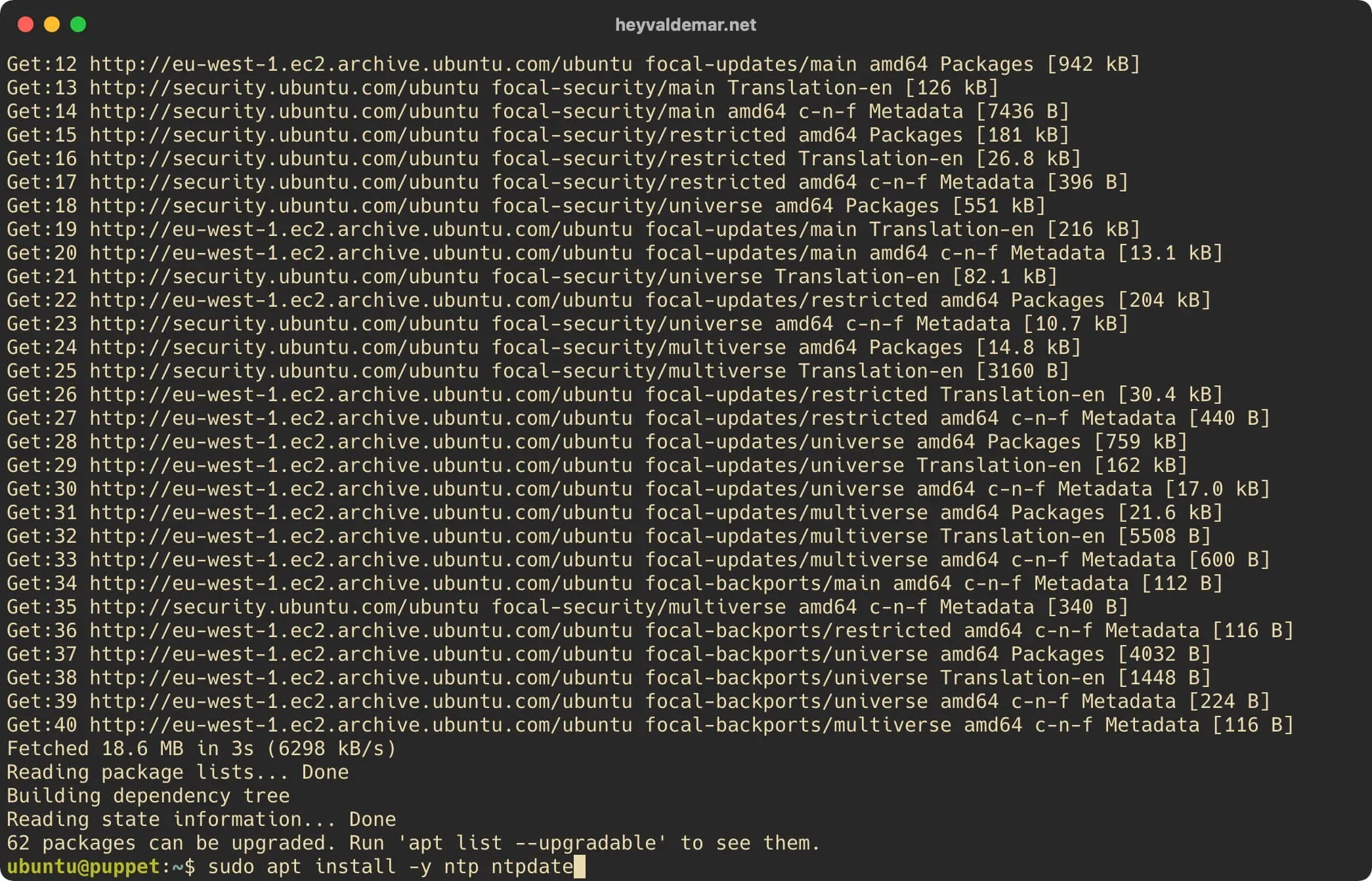Install Puppet on Ubuntu Server - Step 7