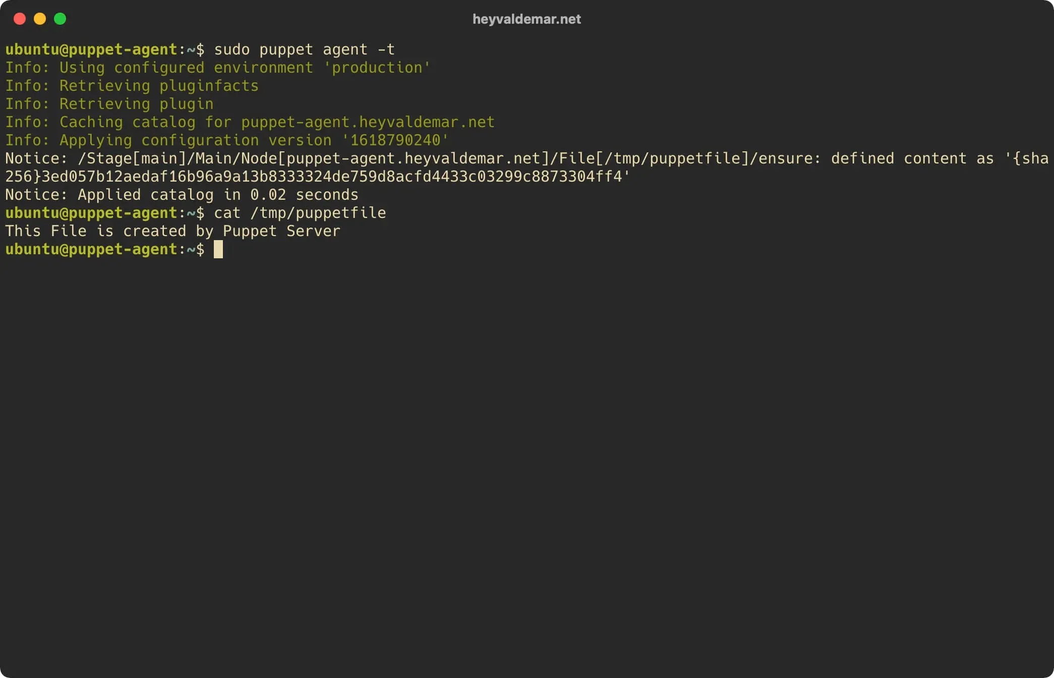 Install Puppet on Ubuntu Server - Step 70